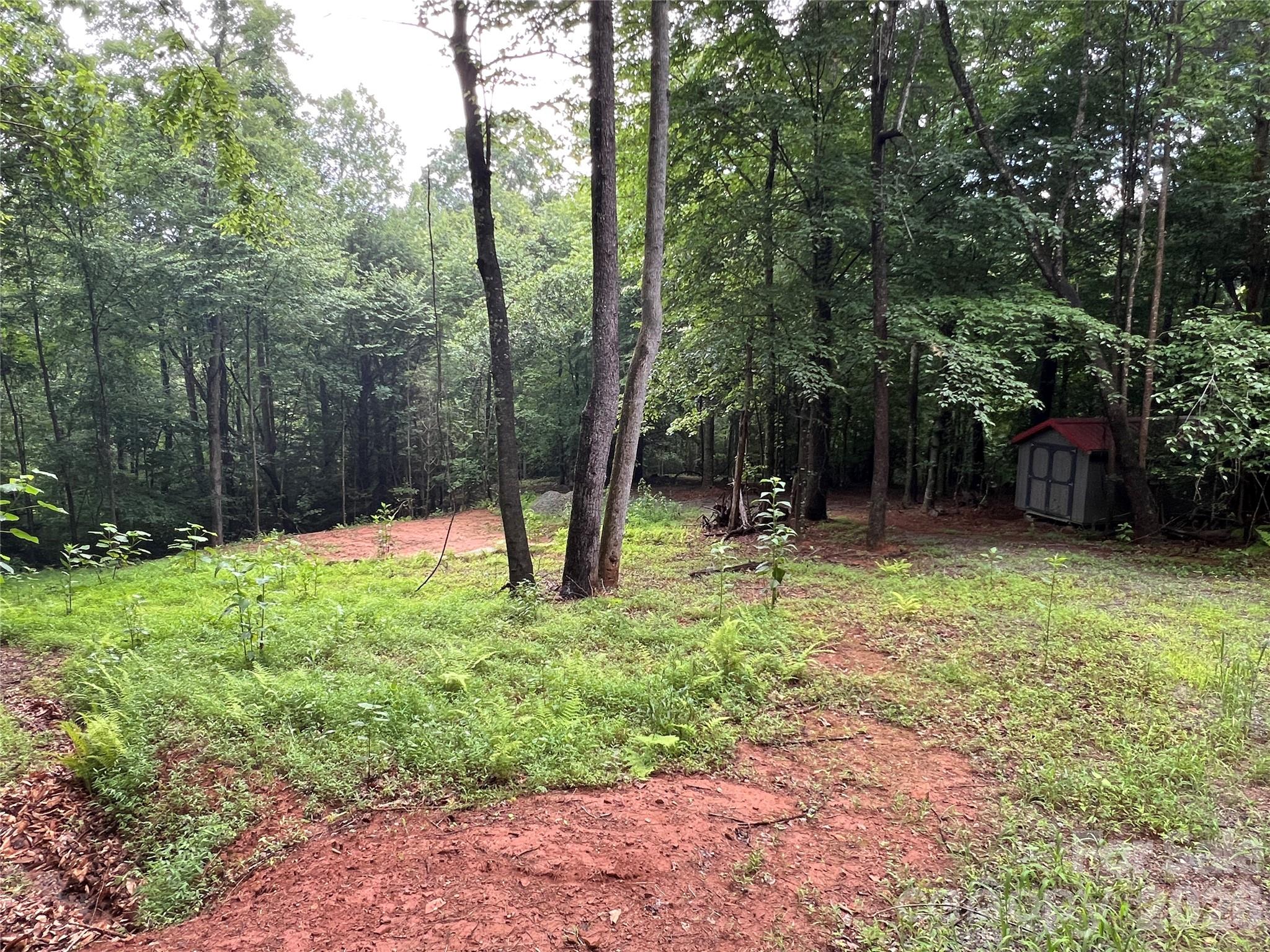 Tbd Staghorn Road Property Photo 15