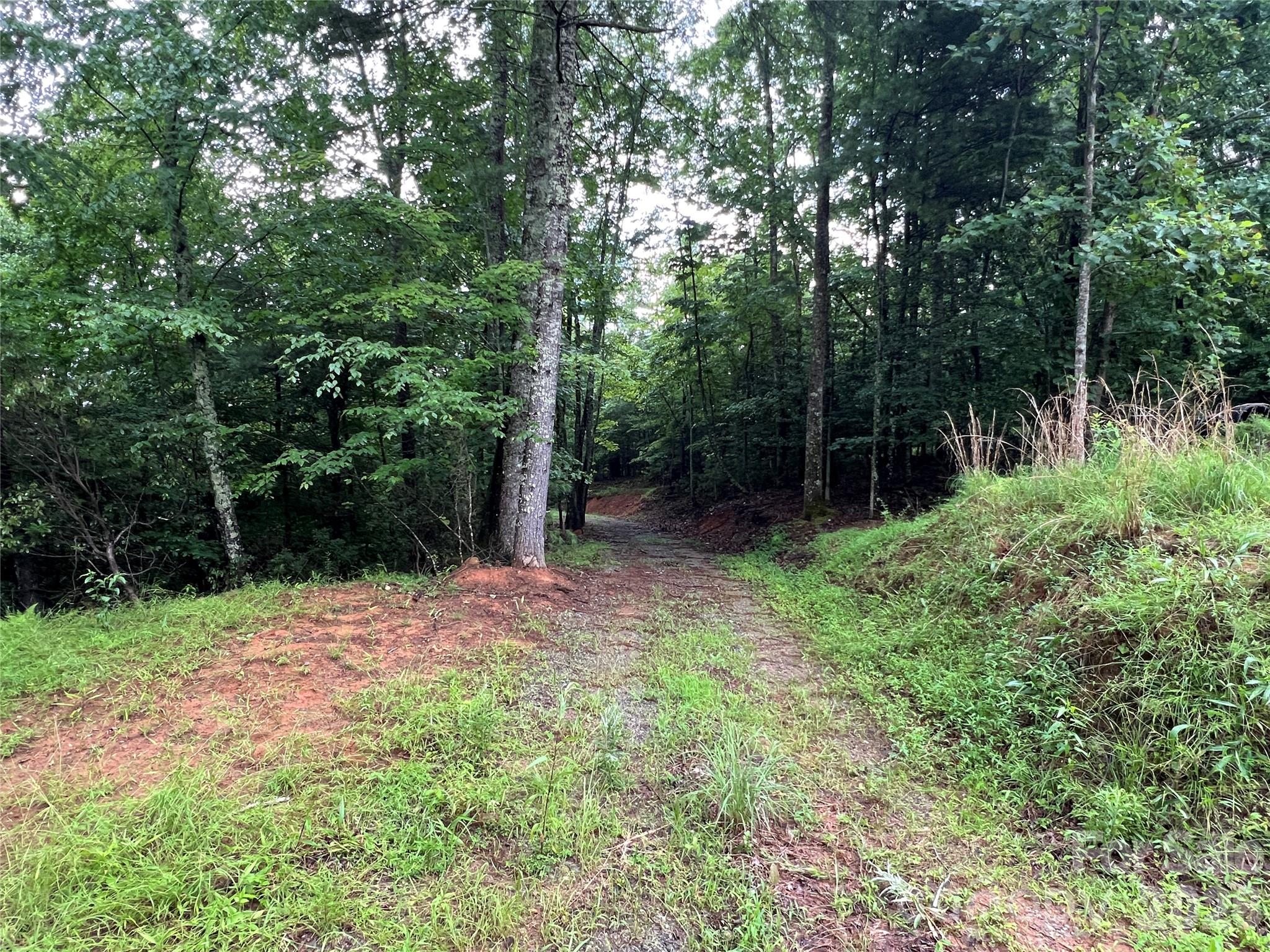 Tbd Staghorn Road Property Photo 20