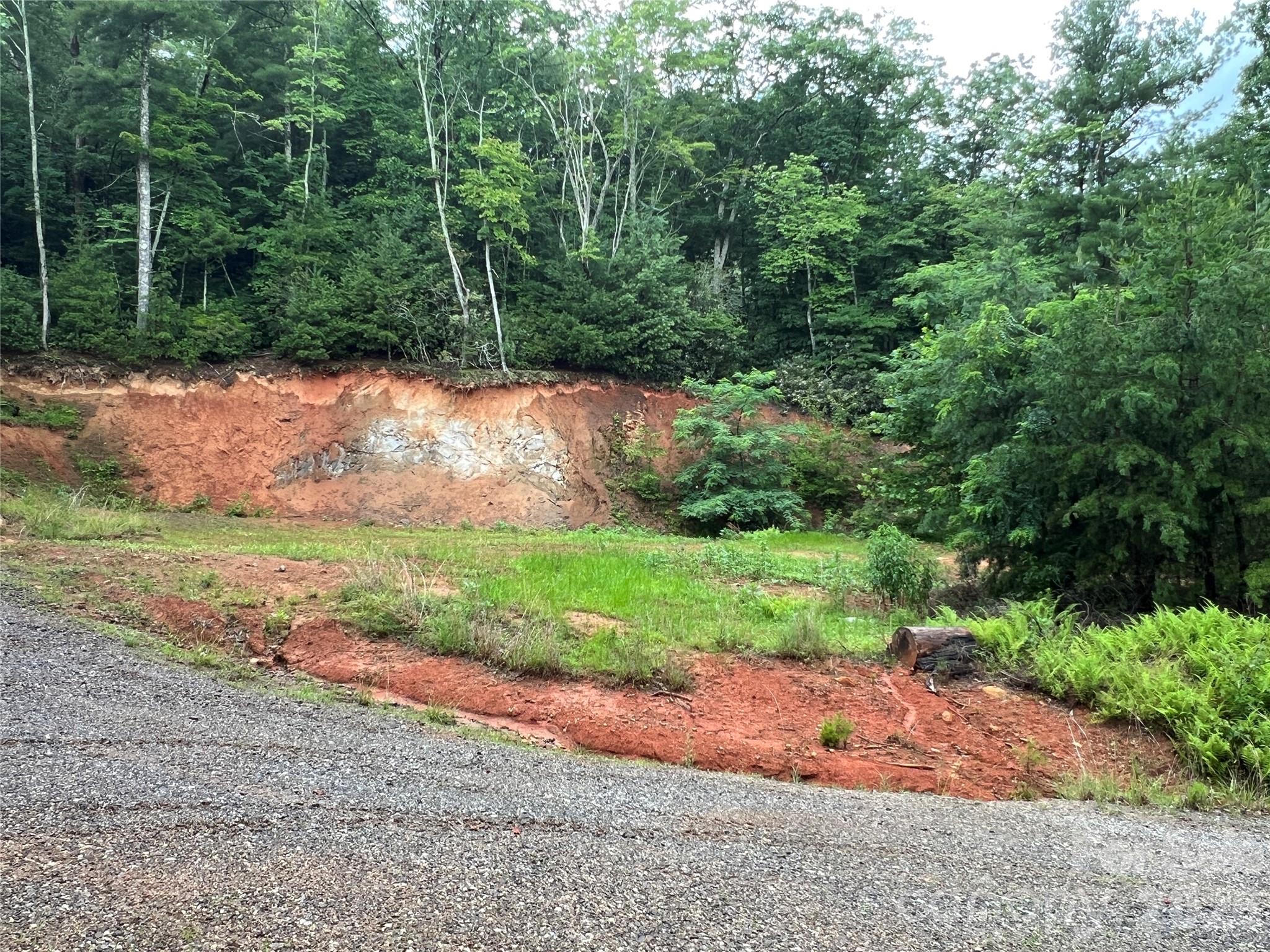 Tbd Staghorn Road Property Photo 22