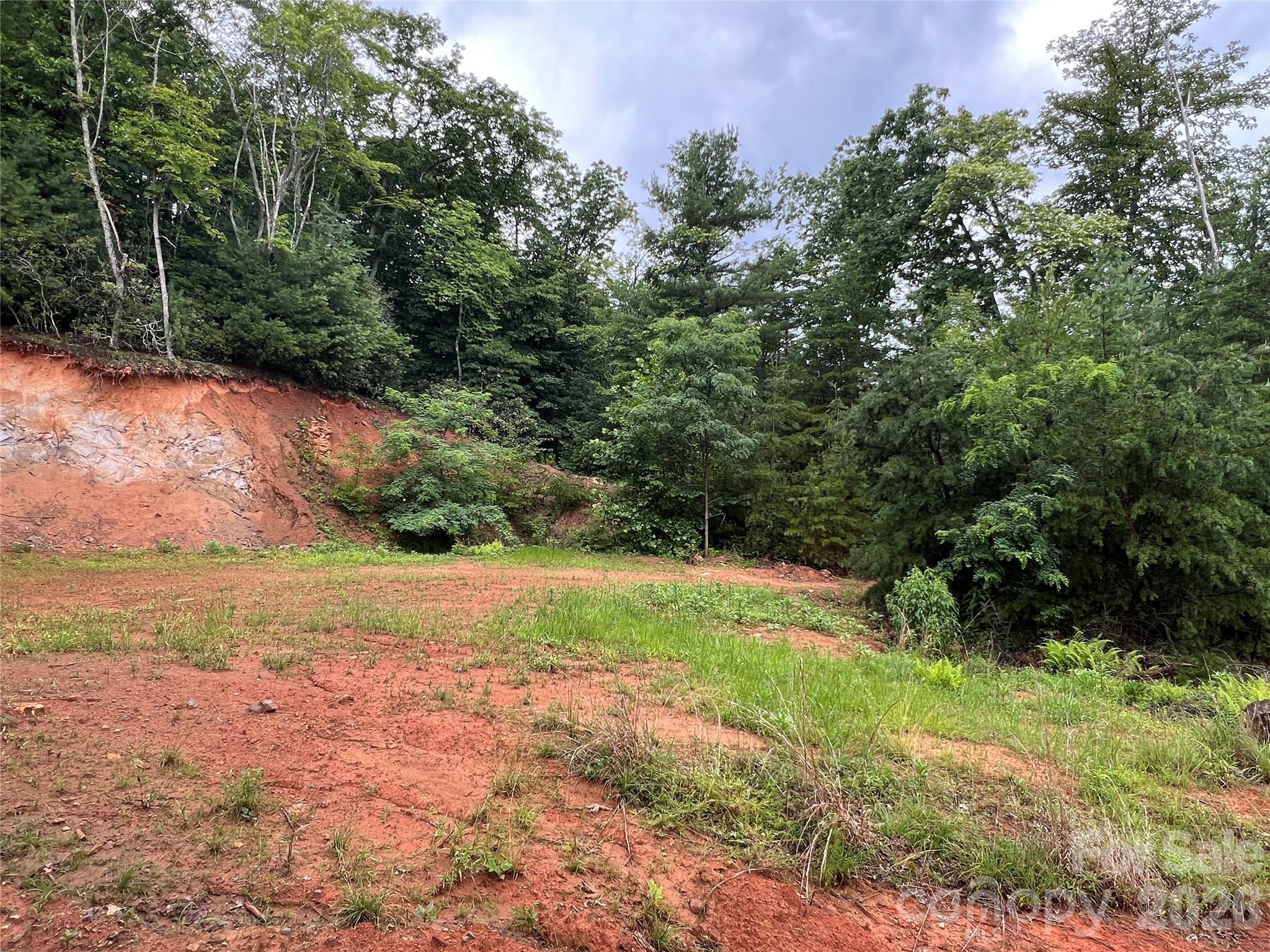 Tbd Staghorn Road Property Photo 23