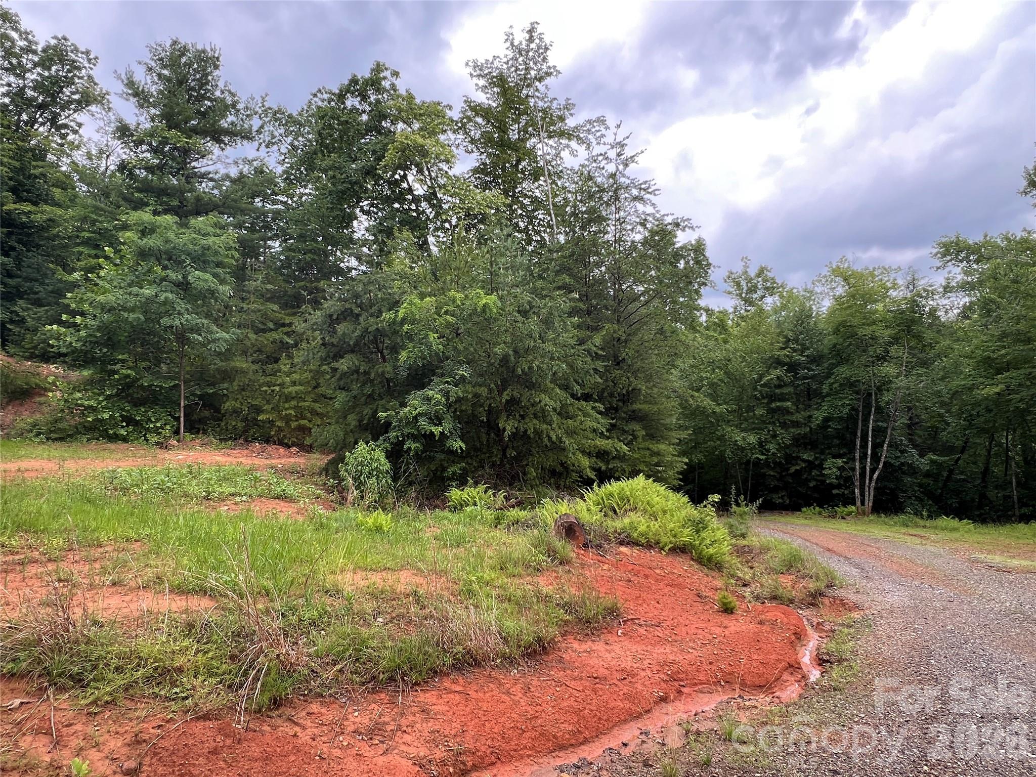 Tbd Staghorn Road Property Photo 24