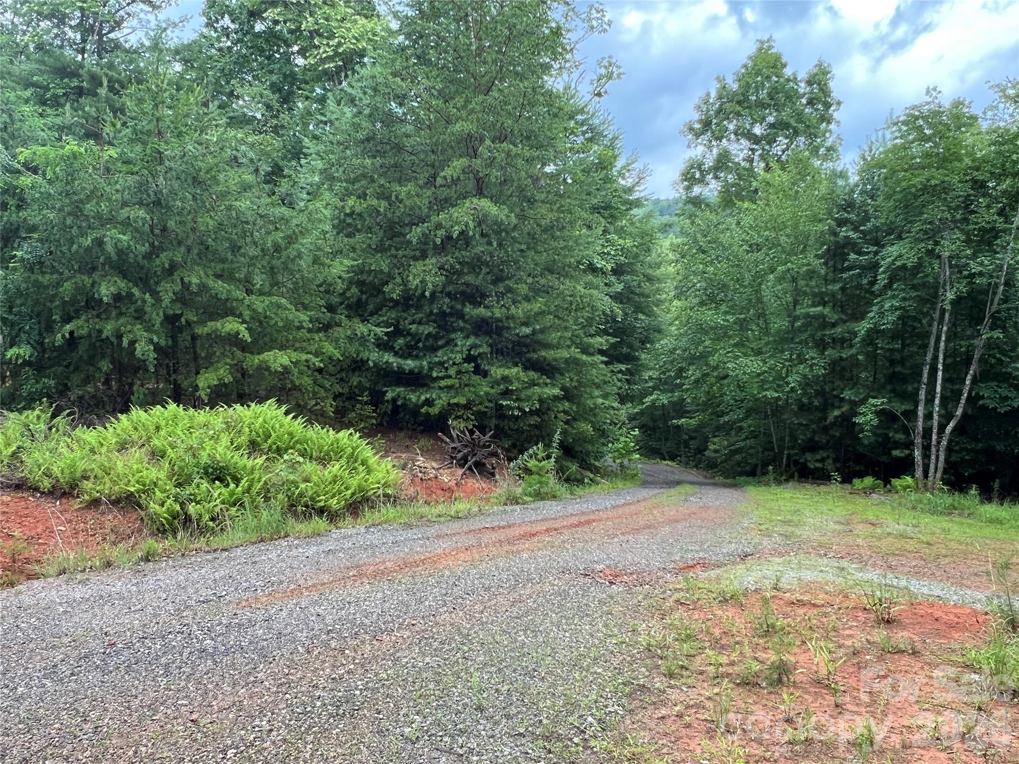 Tbd Staghorn Road Property Photo 26