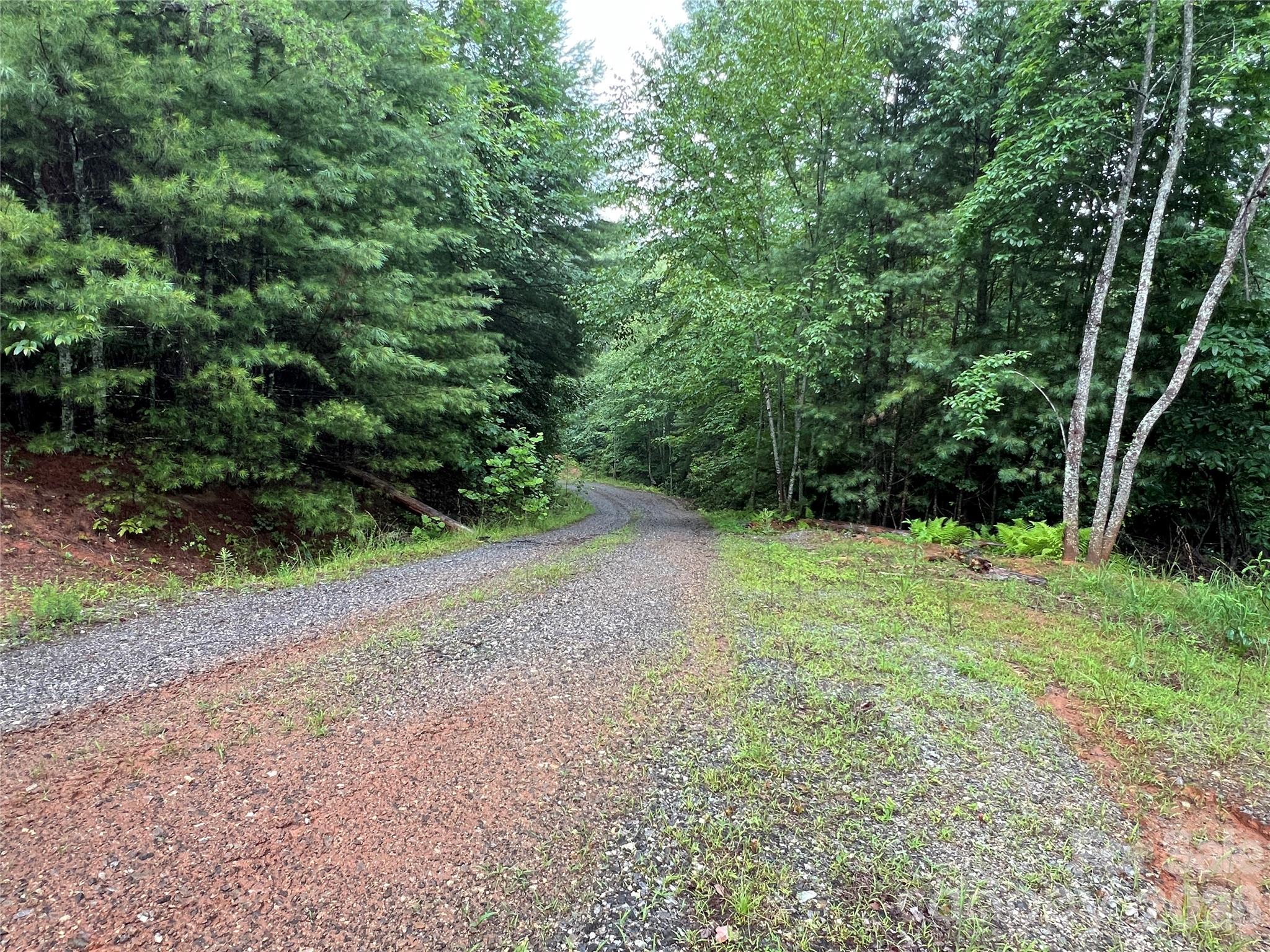 Tbd Staghorn Road Property Photo 27