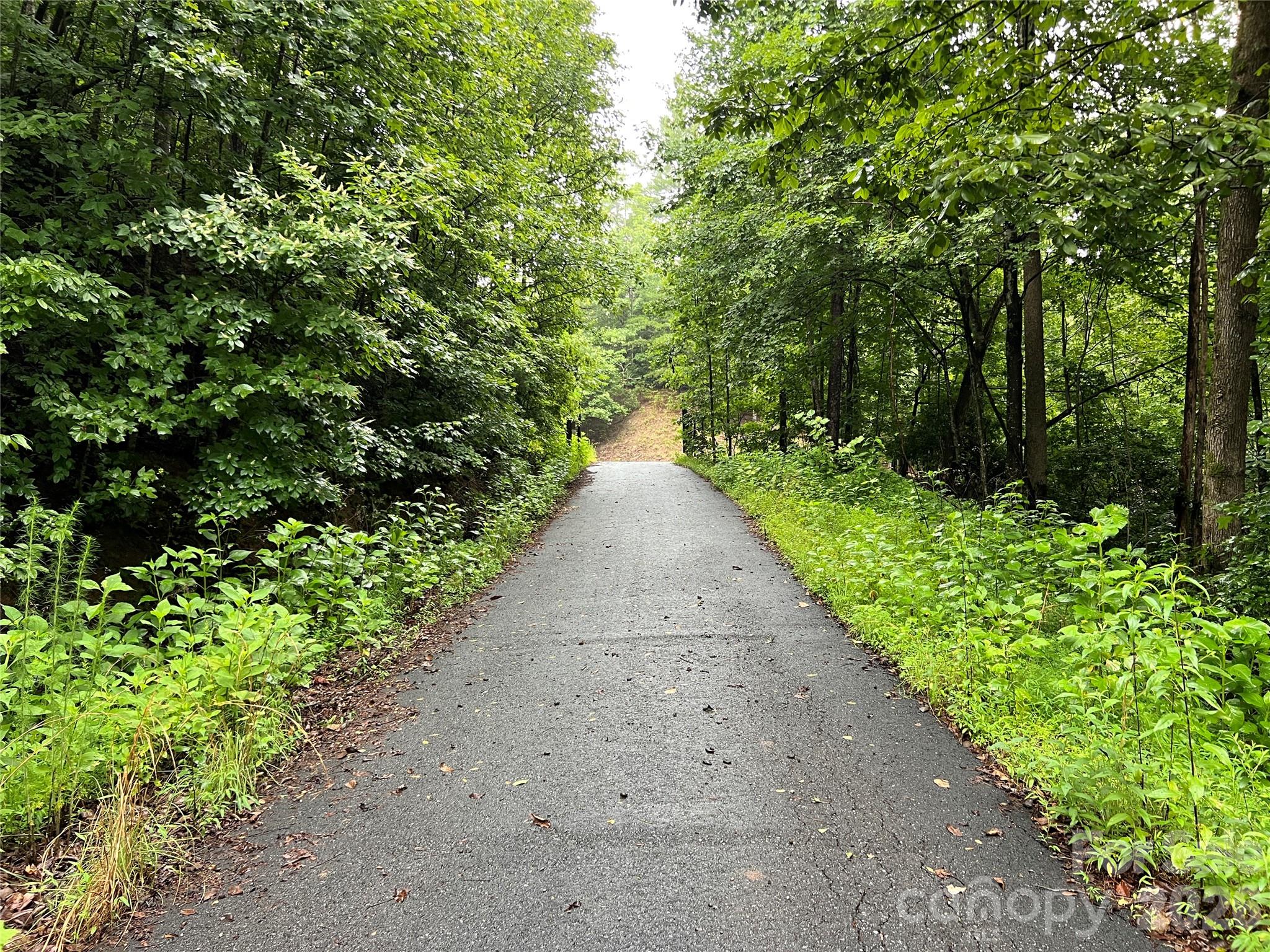 Tbd Staghorn Road Property Photo 28