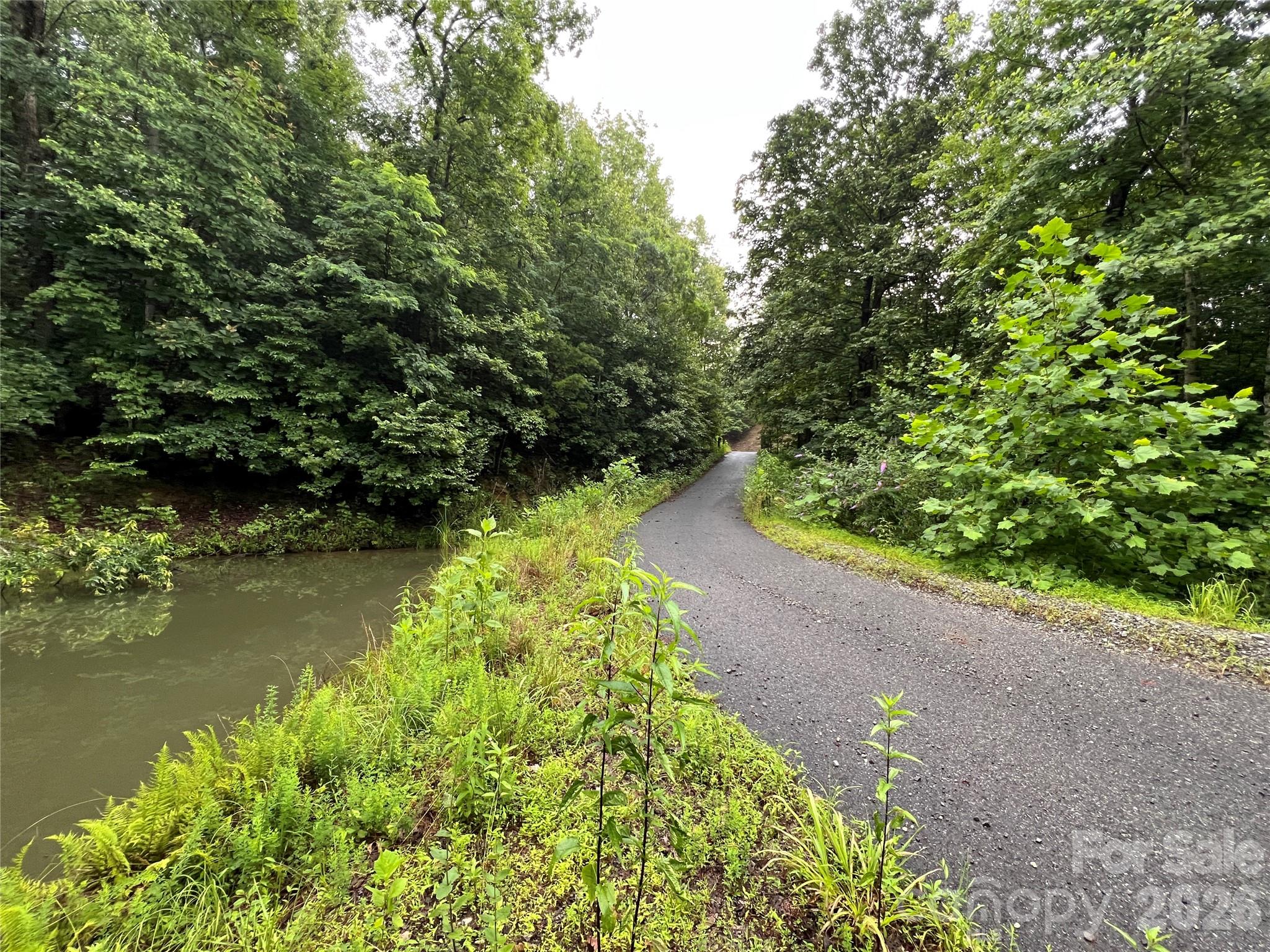 Tbd Staghorn Road Property Photo 29