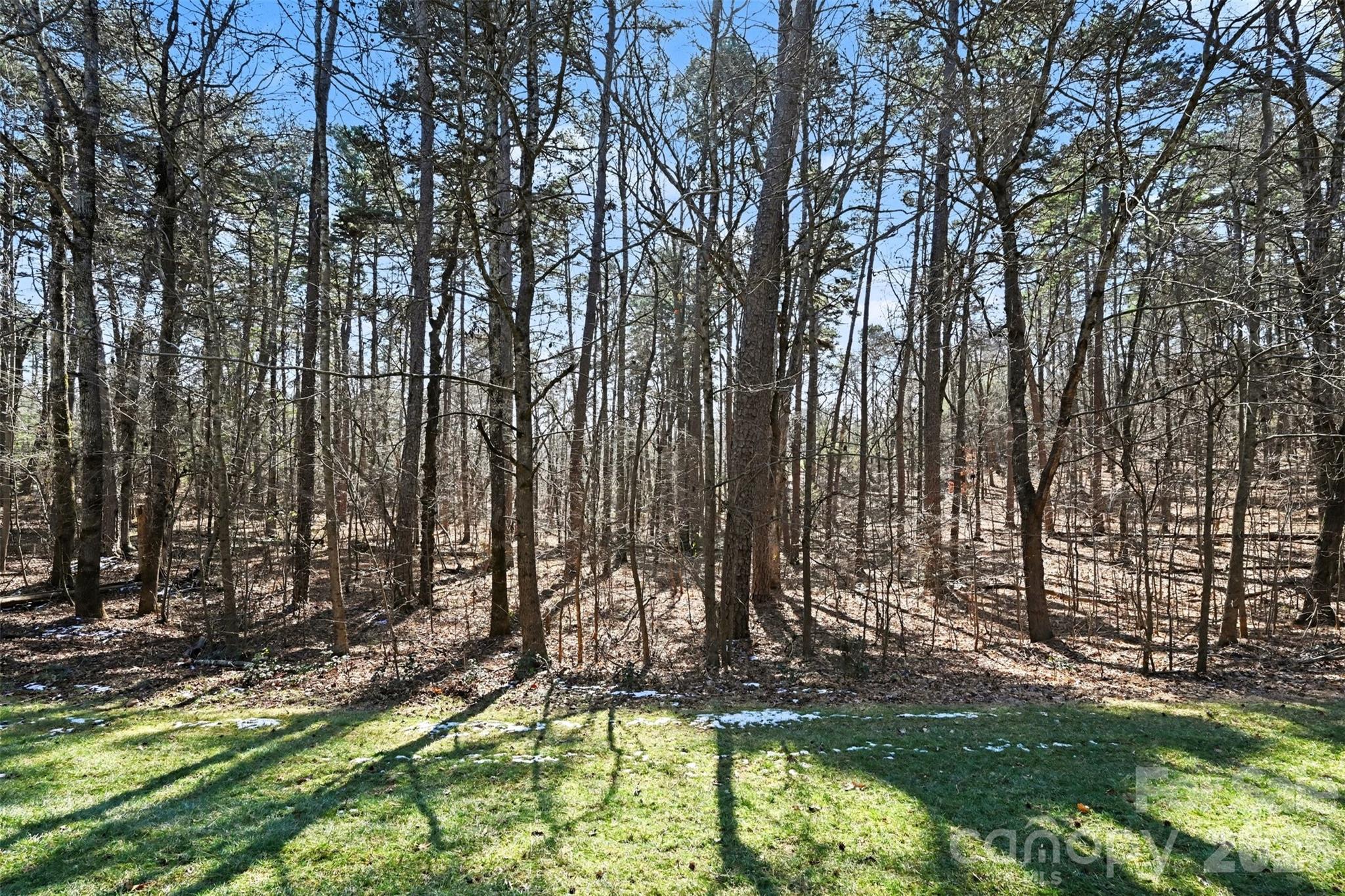 206 Lakewood Court Property Photo 3