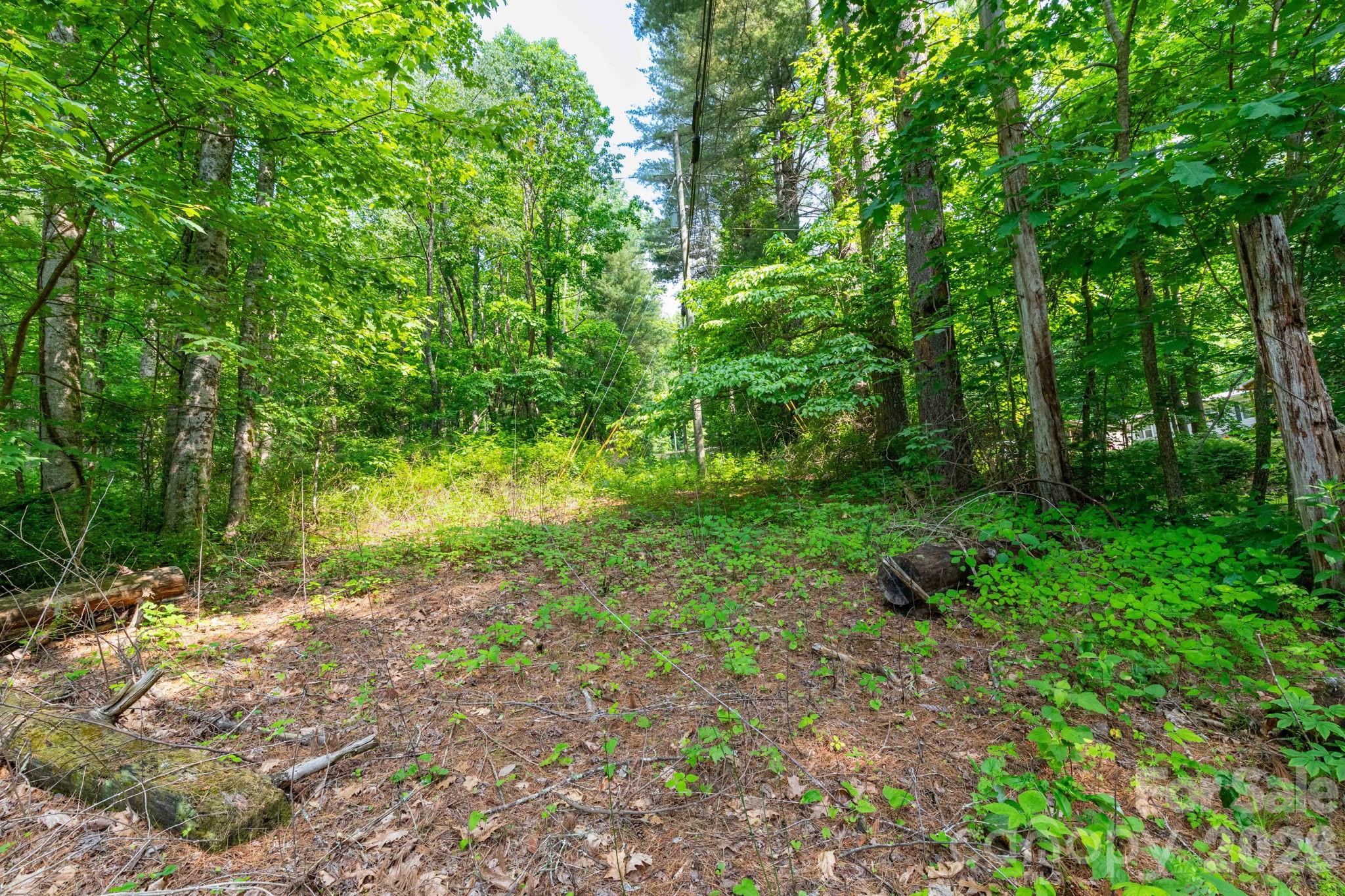 Tbd Woodfin Road Property Photo 1