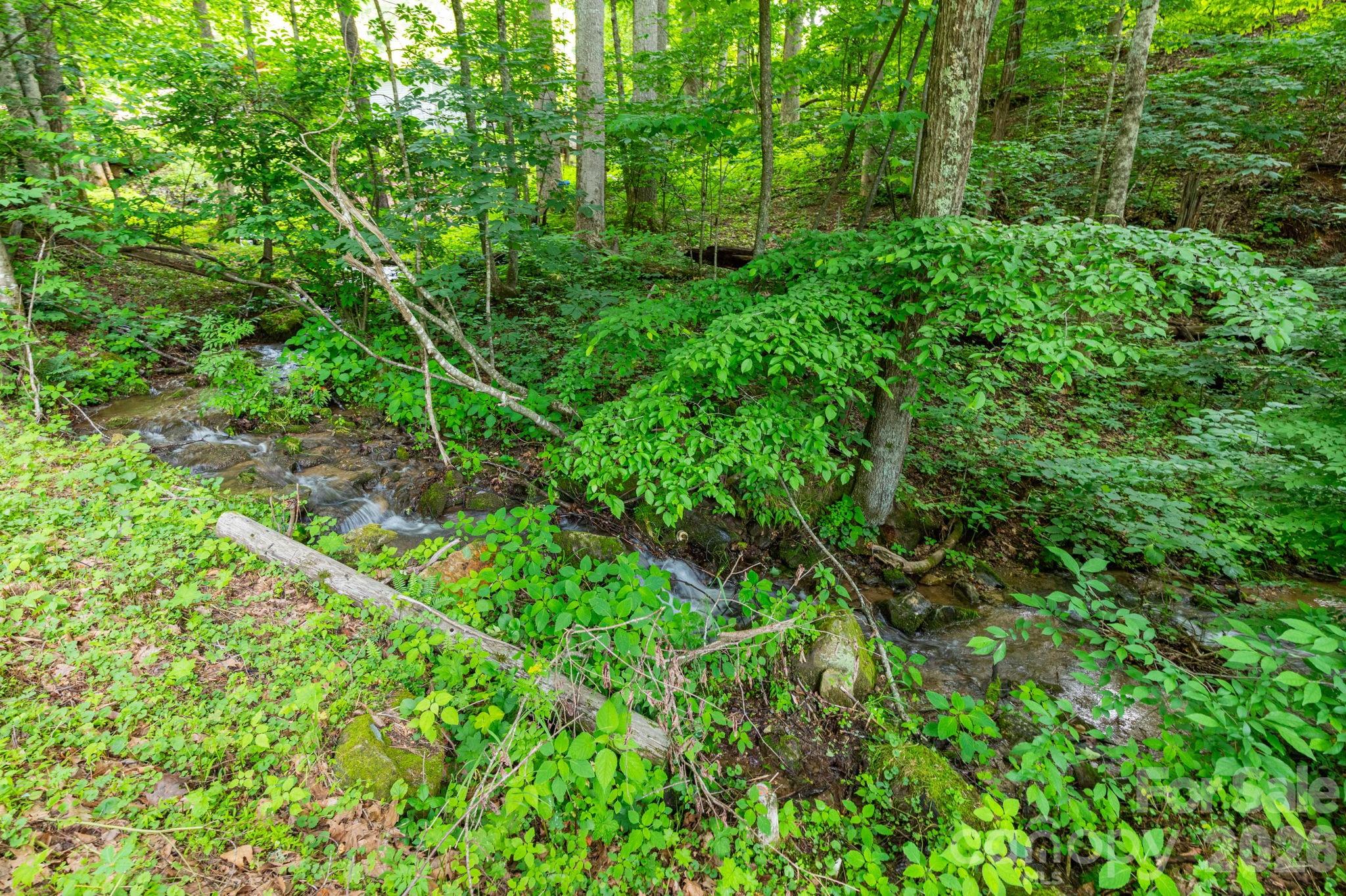 Tbd Woodfin Road Property Photo 4