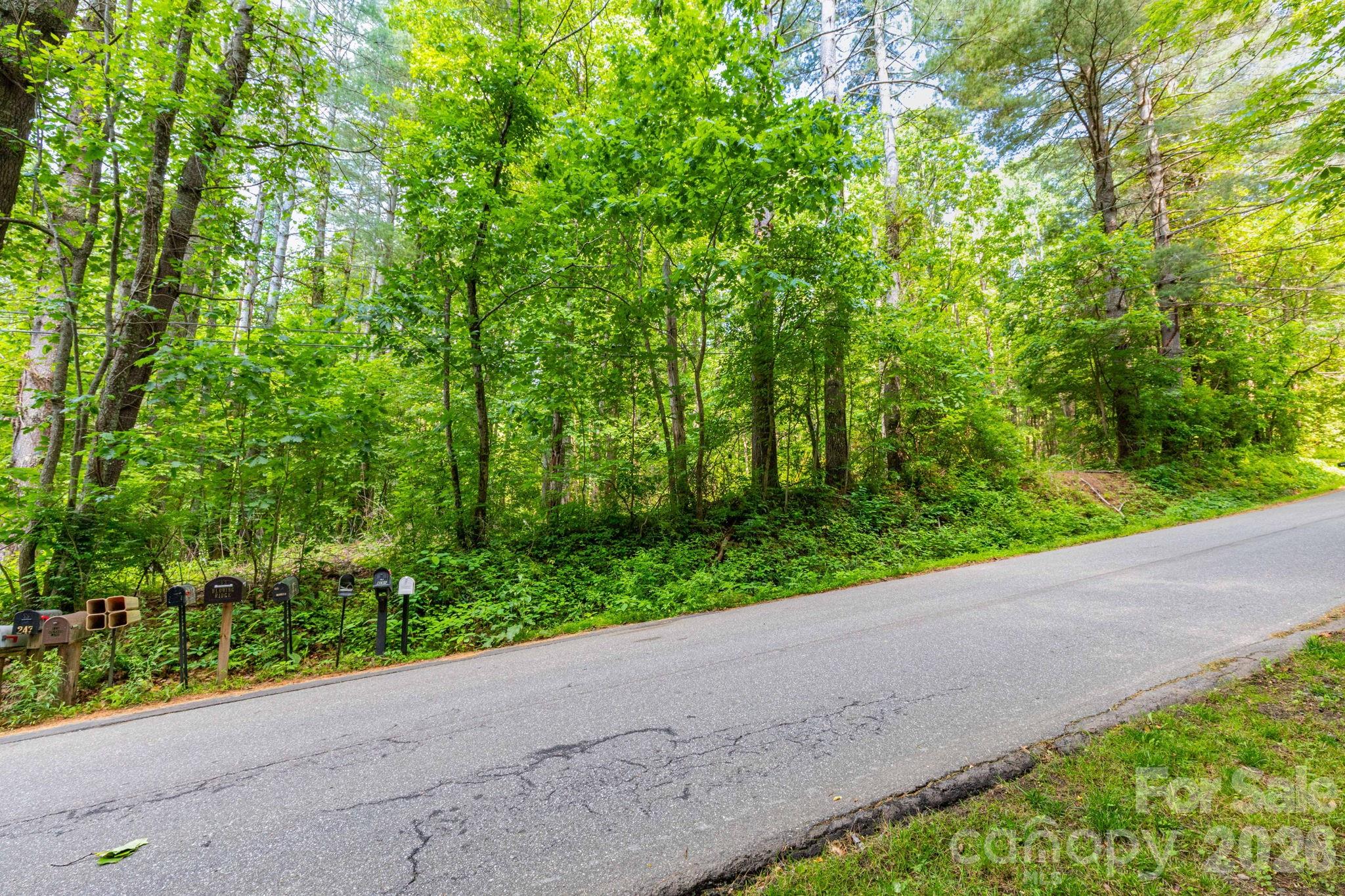 Tbd Woodfin Road Property Photo 5