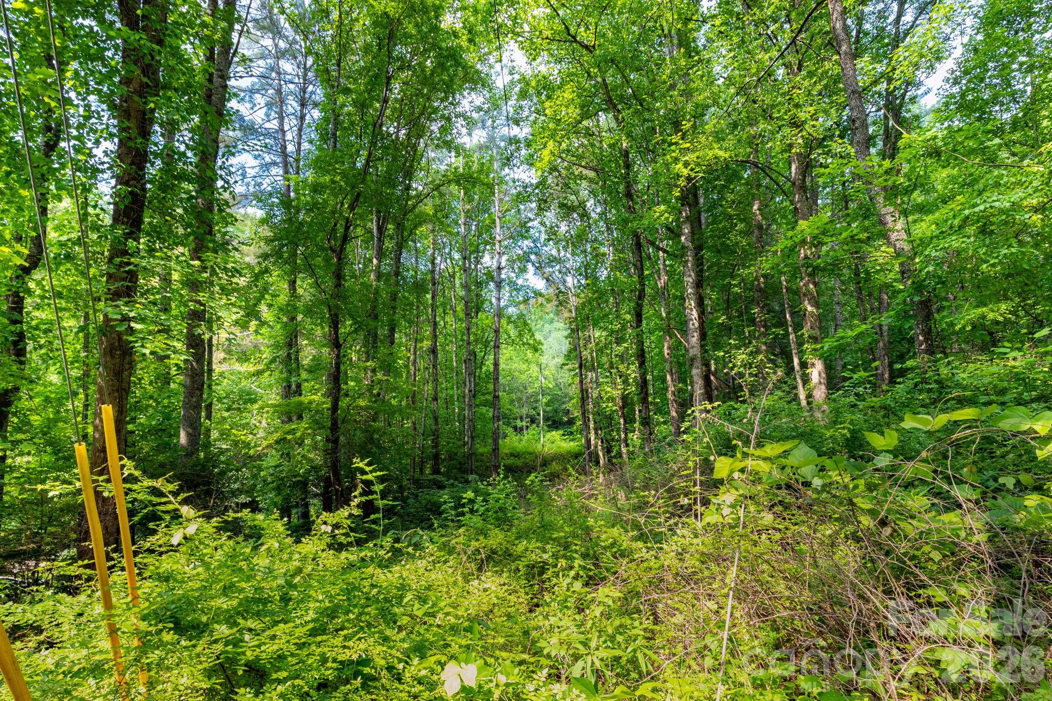 Tbd Woodfin Road Property Photo 6
