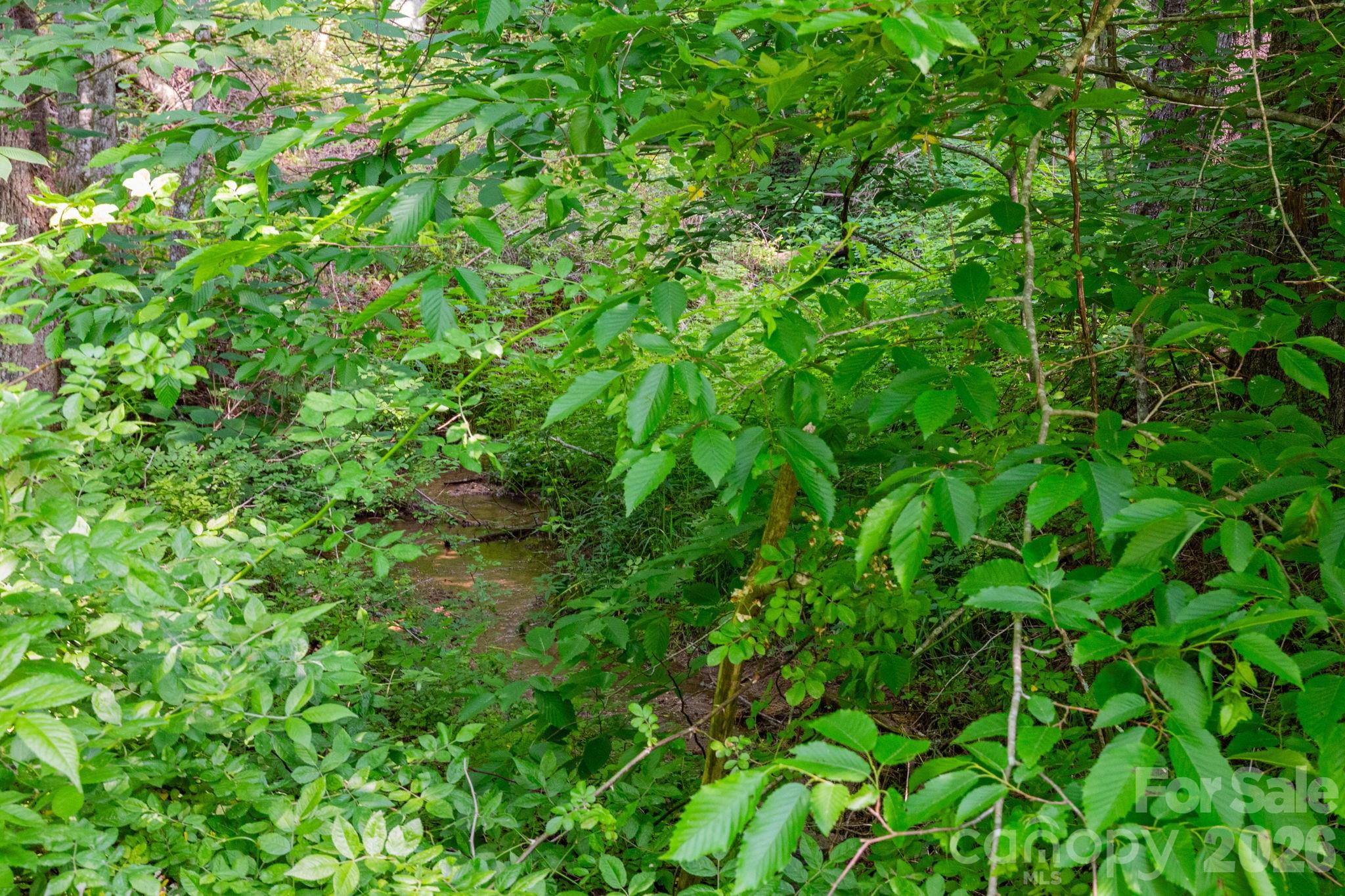 Tbd Woodfin Road Property Photo 7