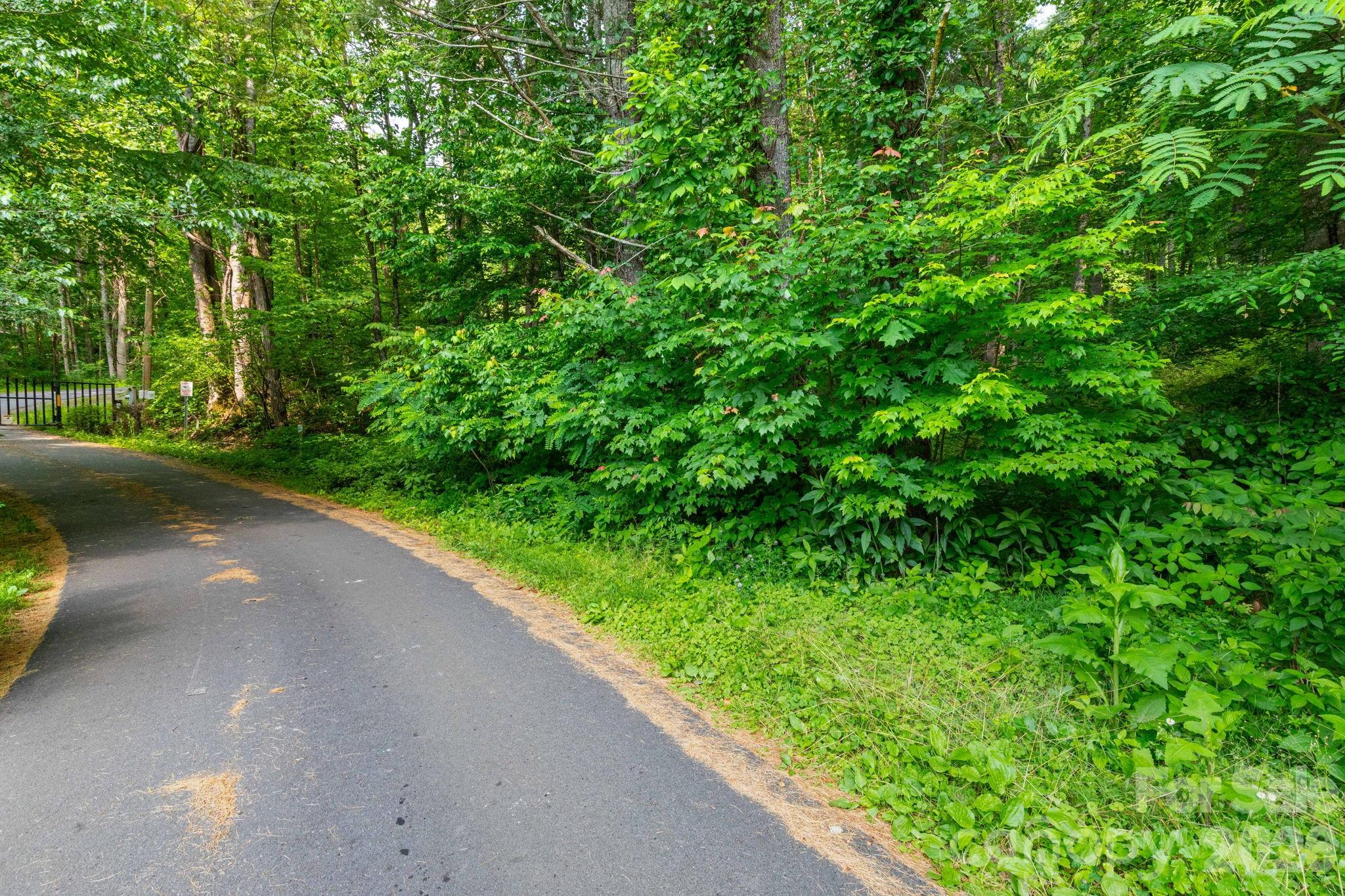 Tbd Woodfin Road Property Photo 8