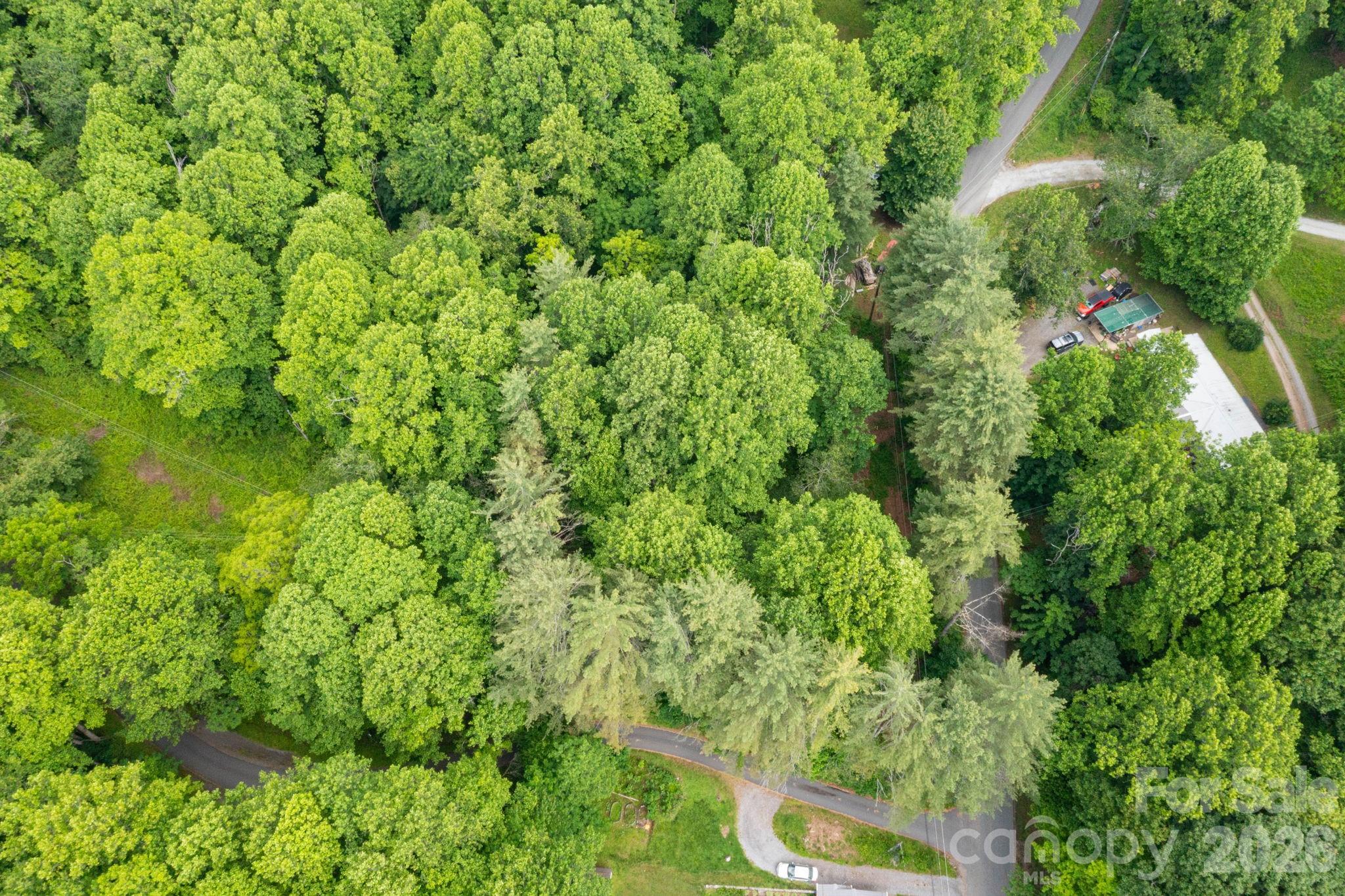 Tbd Woodfin Road Property Photo 11