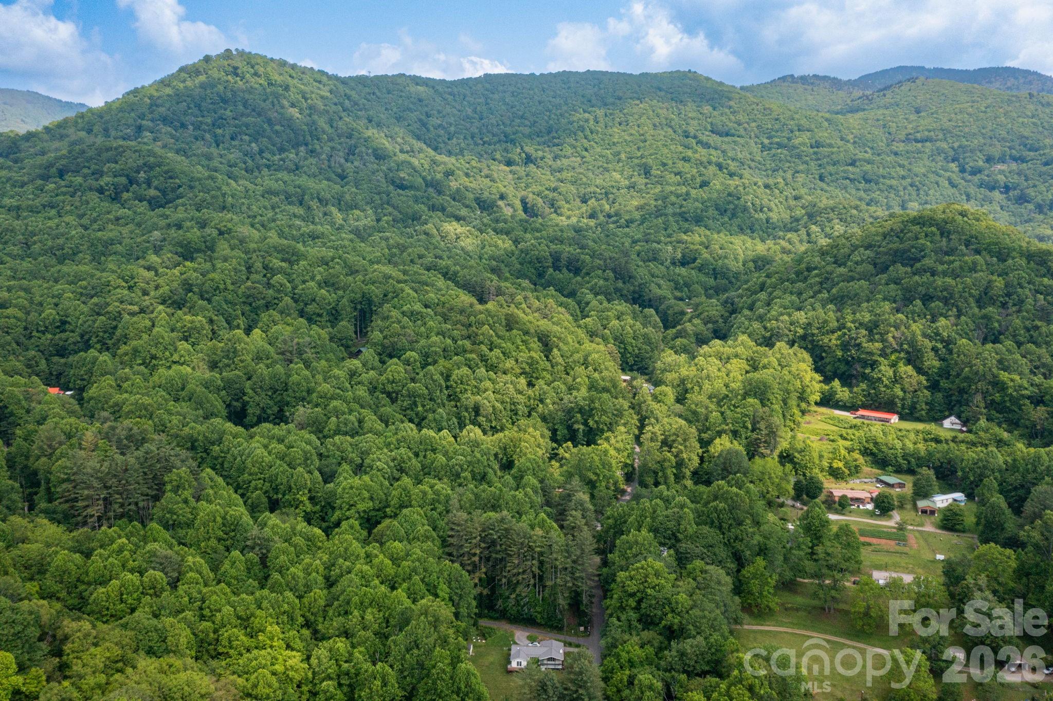 Tbd Woodfin Road Property Photo 13