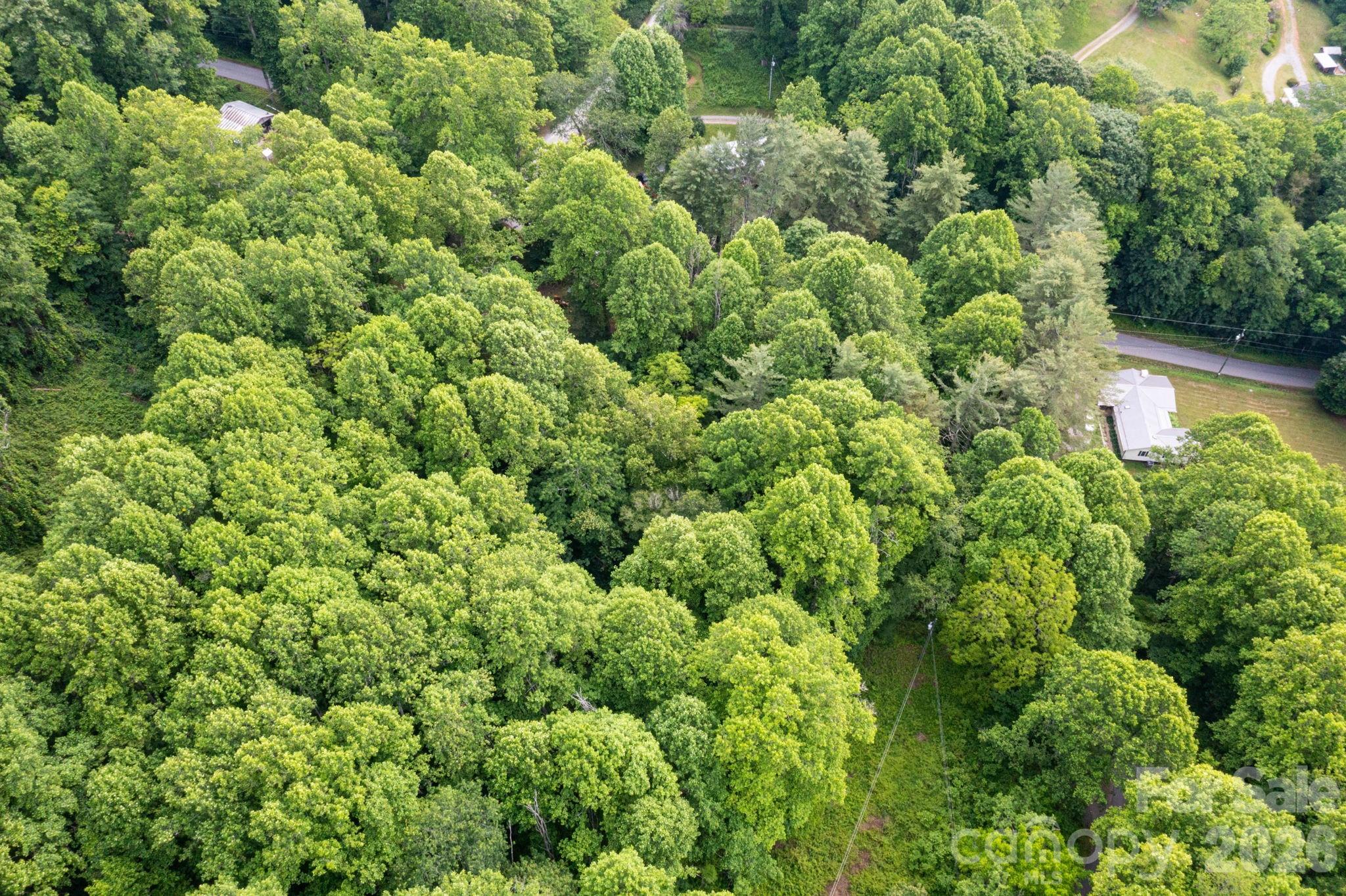 Tbd Woodfin Road Property Photo 15