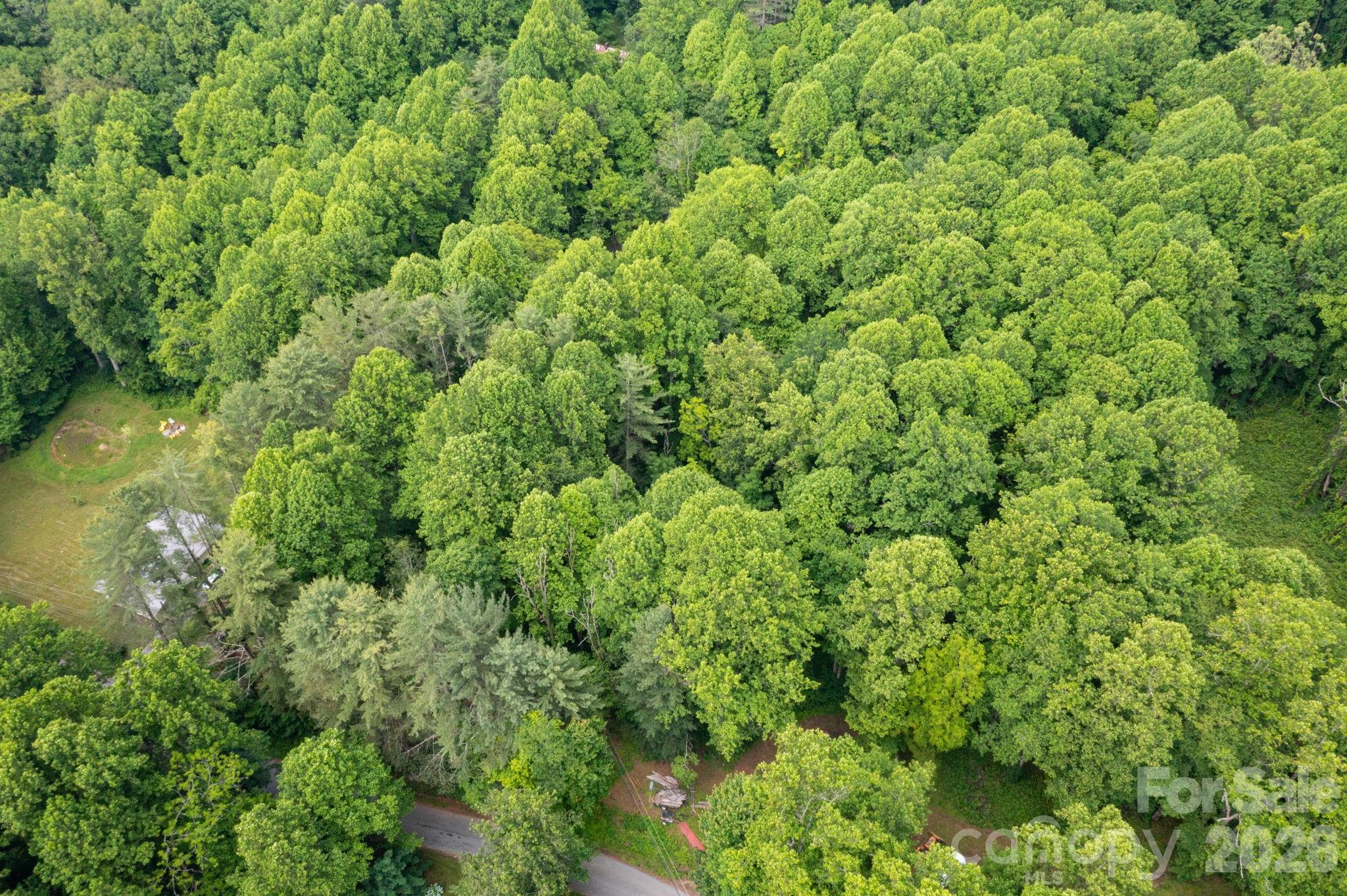 Tbd Woodfin Road Property Photo 17