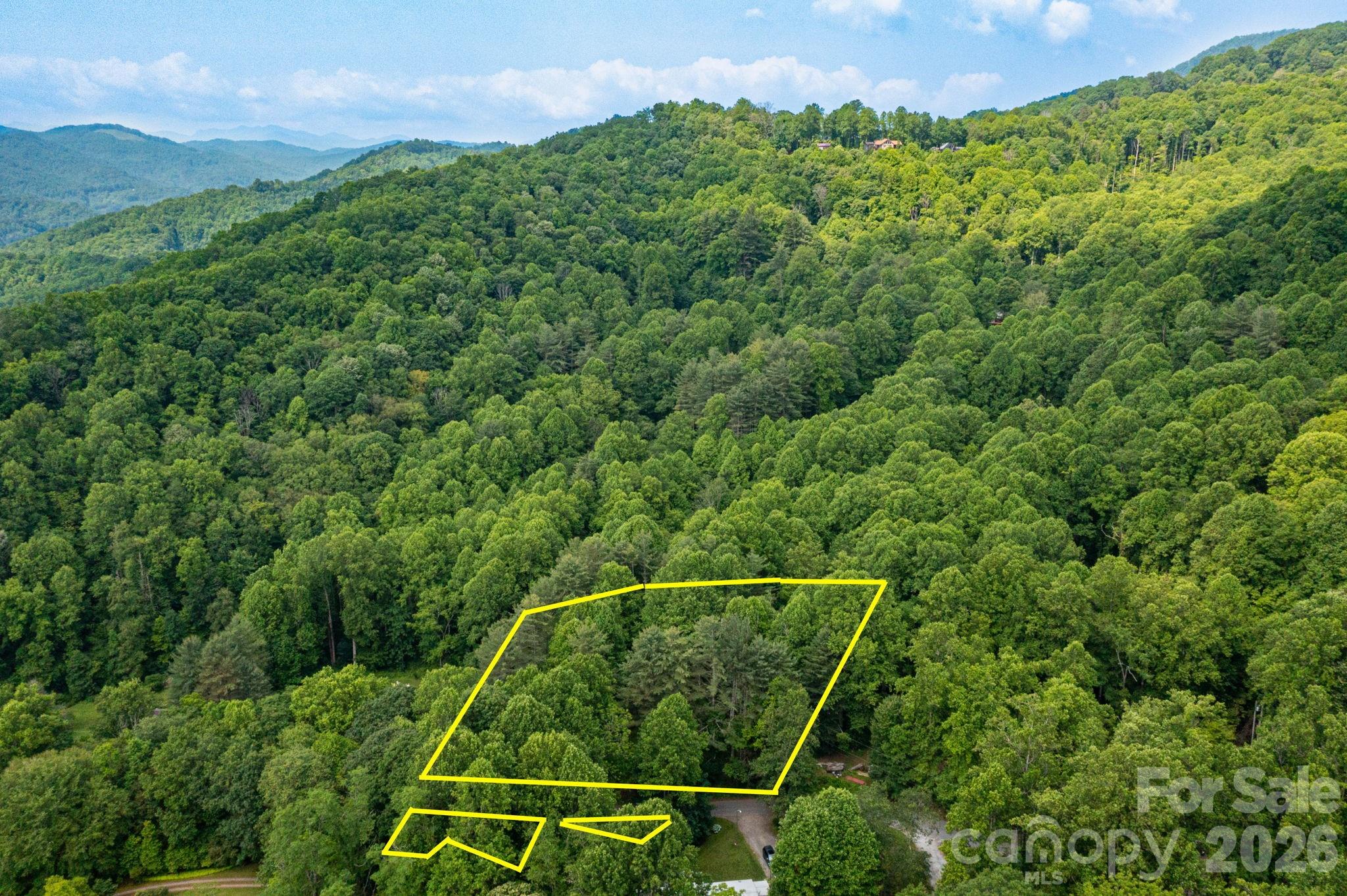 Tbd Woodfin Road Property Photo 18