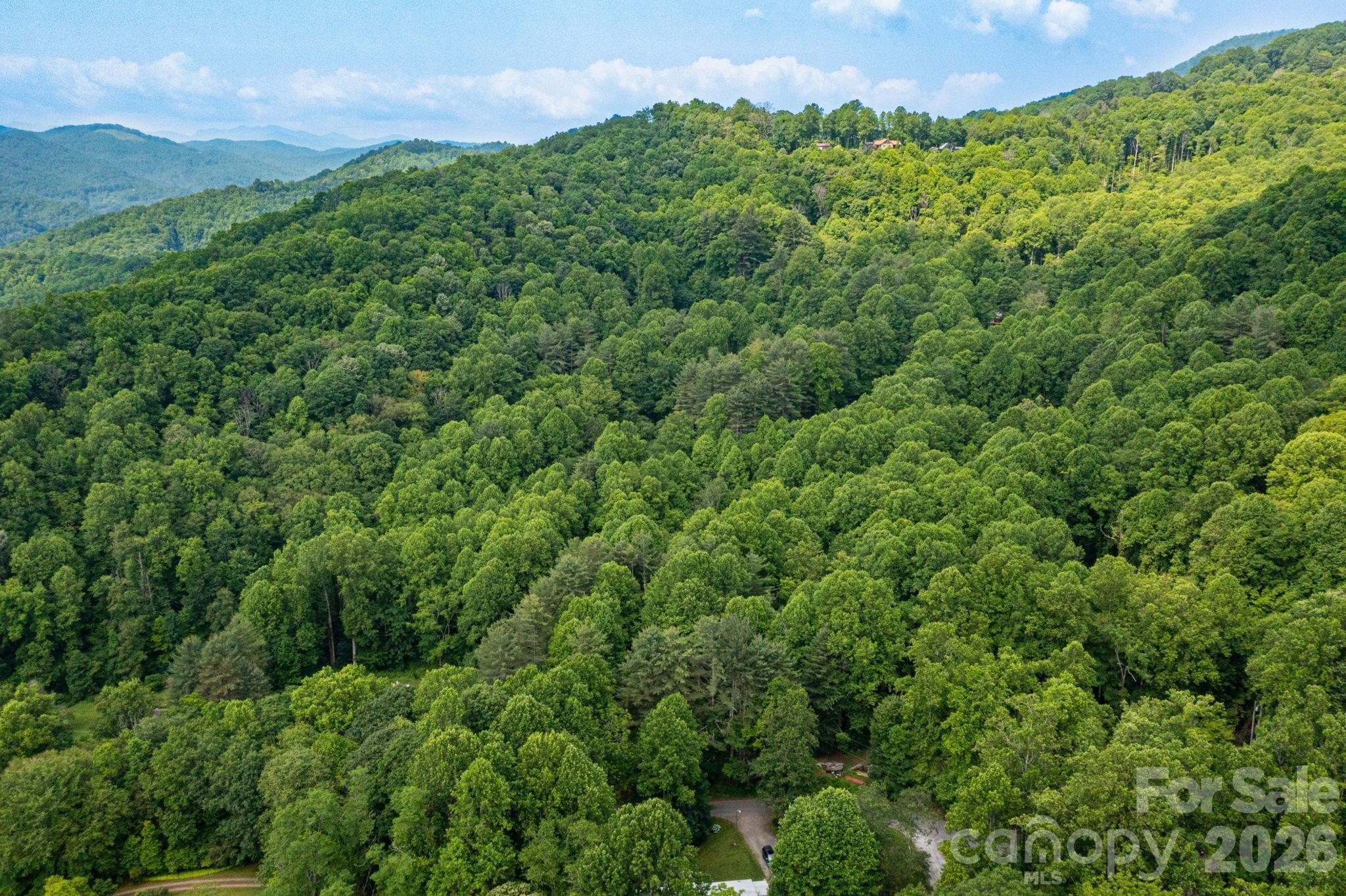 Tbd Woodfin Road Property Photo 19