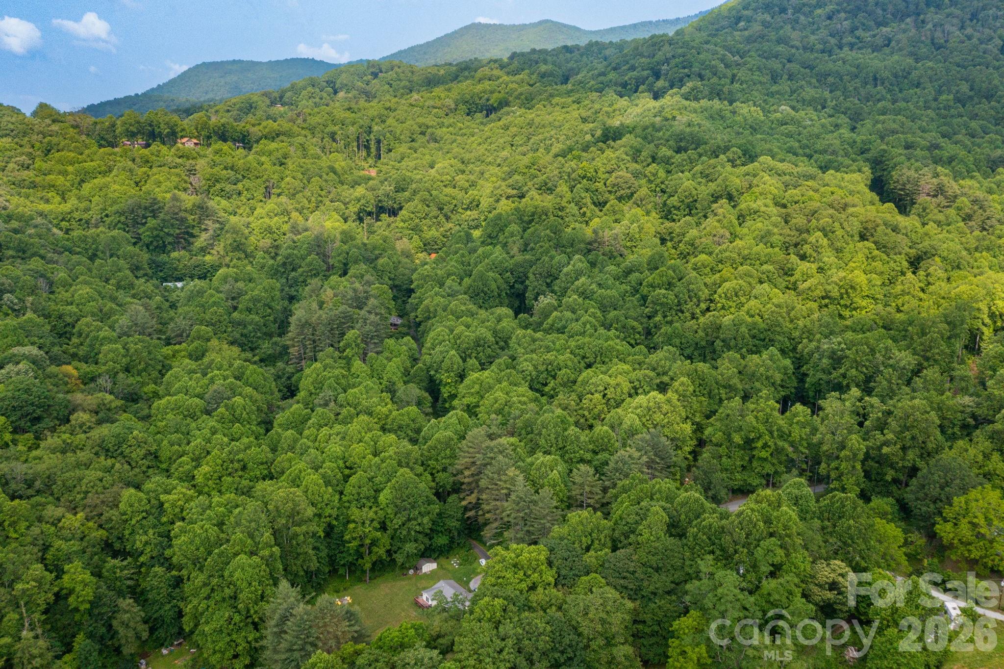 Tbd Woodfin Road Property Photo 21
