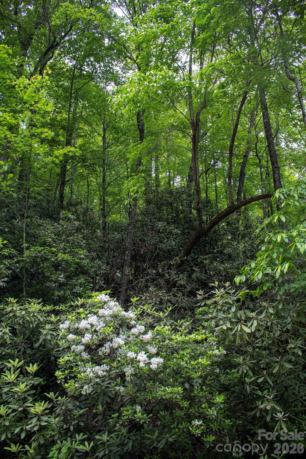 Tbd Fox Den Road 57&59 Property Photo 1