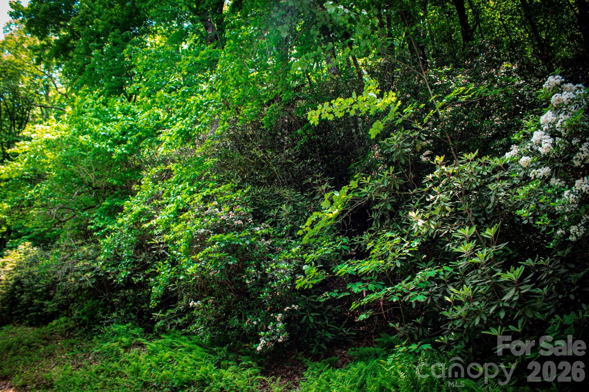 Tbd Fox Den Road 57&59 Property Photo 4