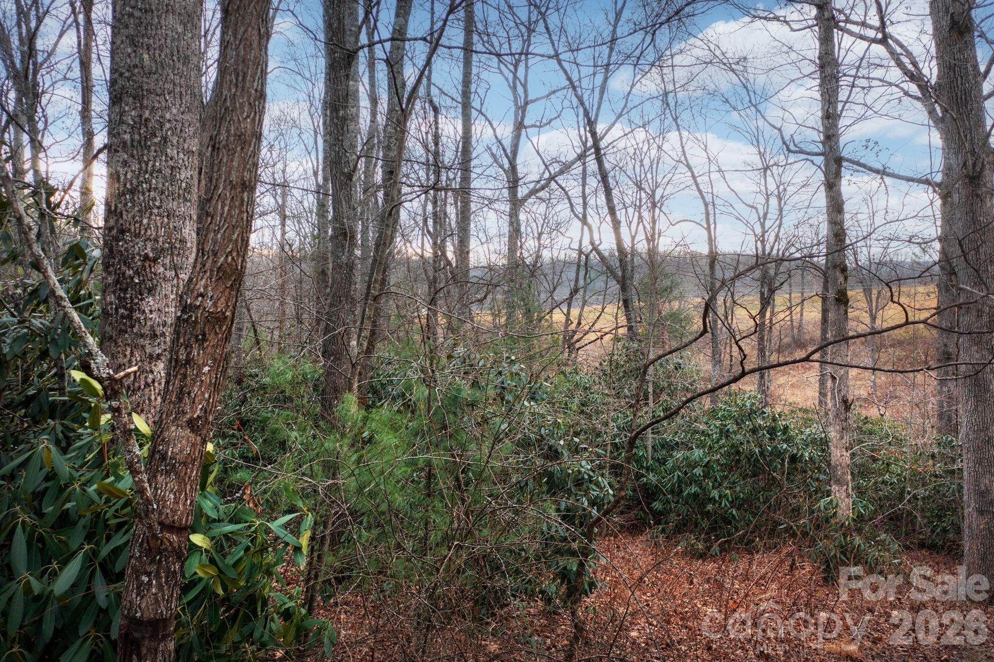 38 Gollum Drive Property Photo 2