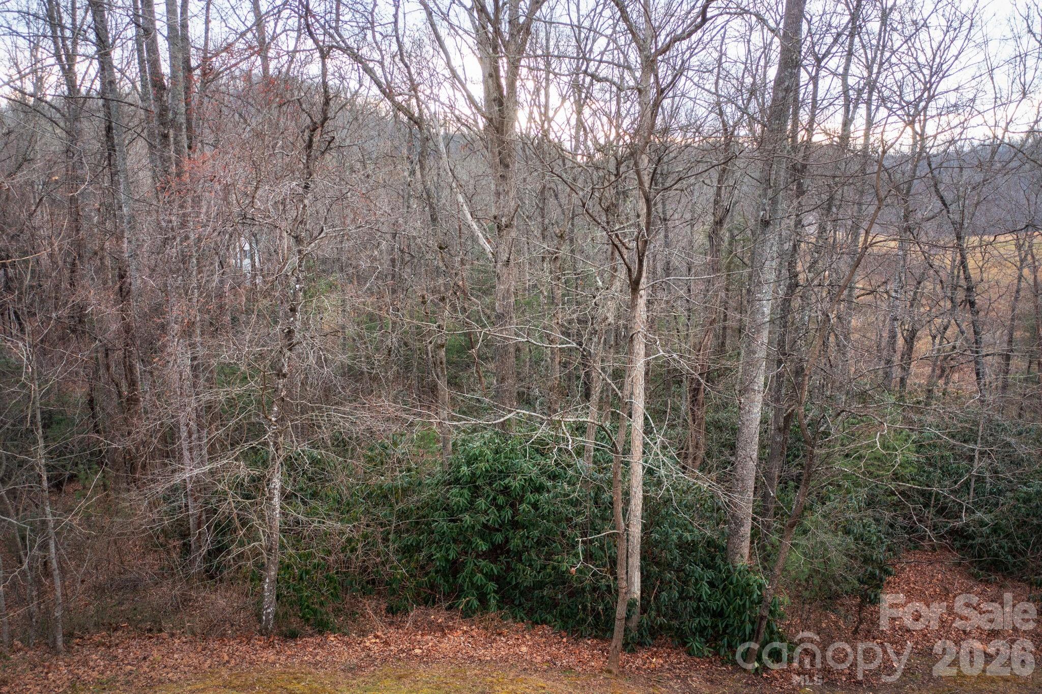 38 Gollum Drive Property Photo 3