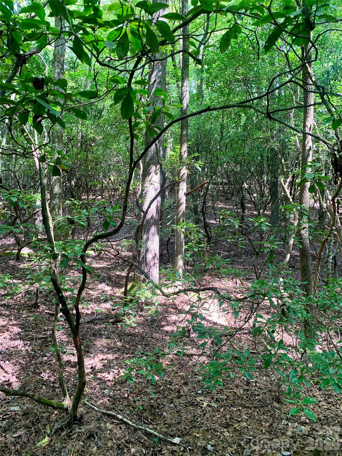 6 Double Creek Road 6
