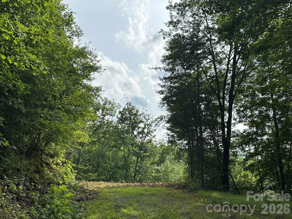 87-3 Eagles Flight None Property Photo 3