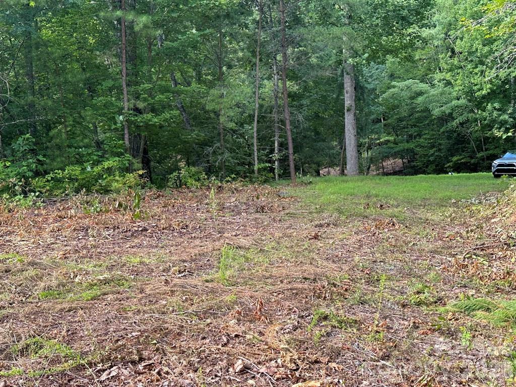 87-3 Eagles Flight None Property Photo 4