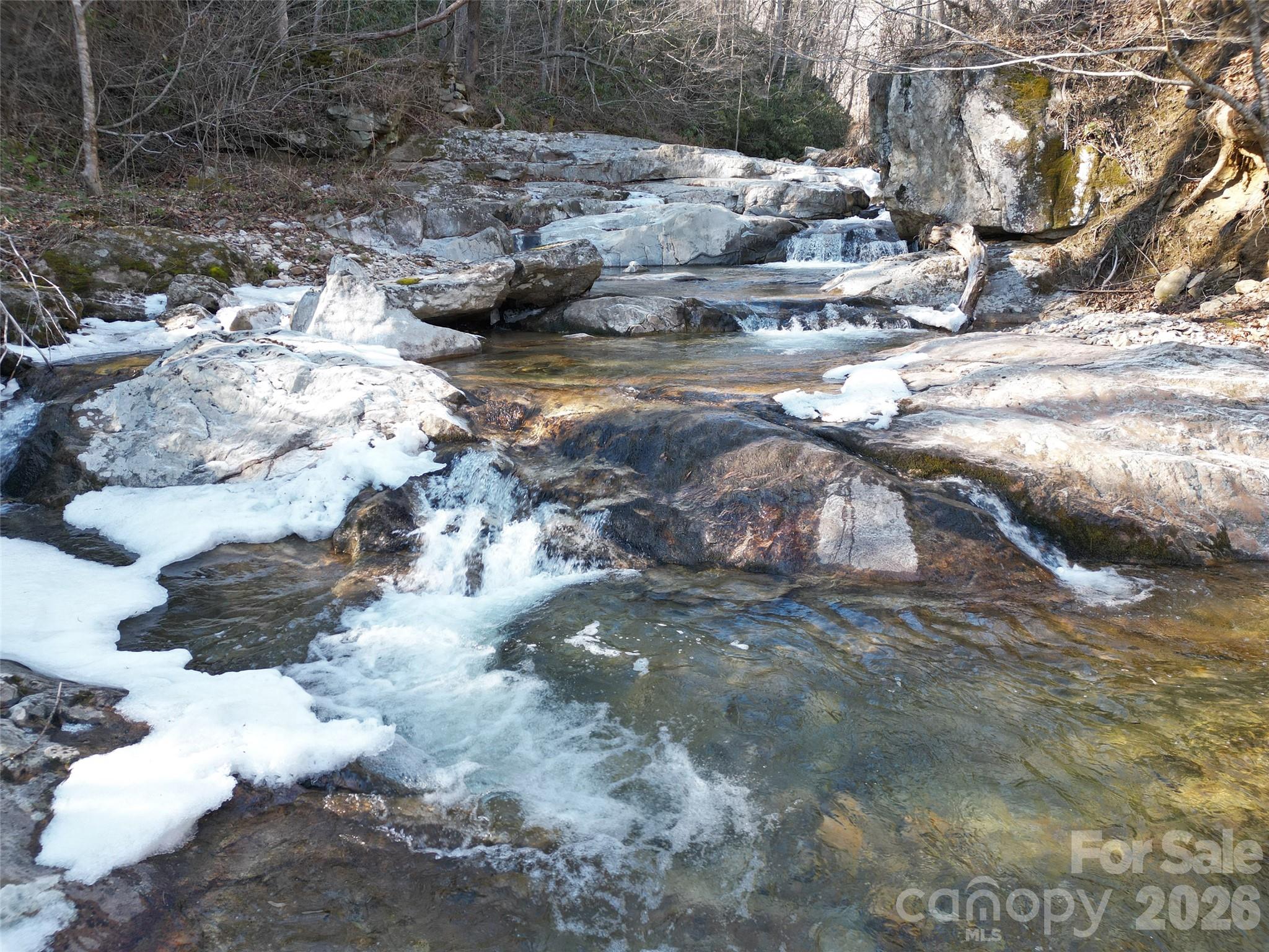 7385 Big Pine Road Property Photo 4