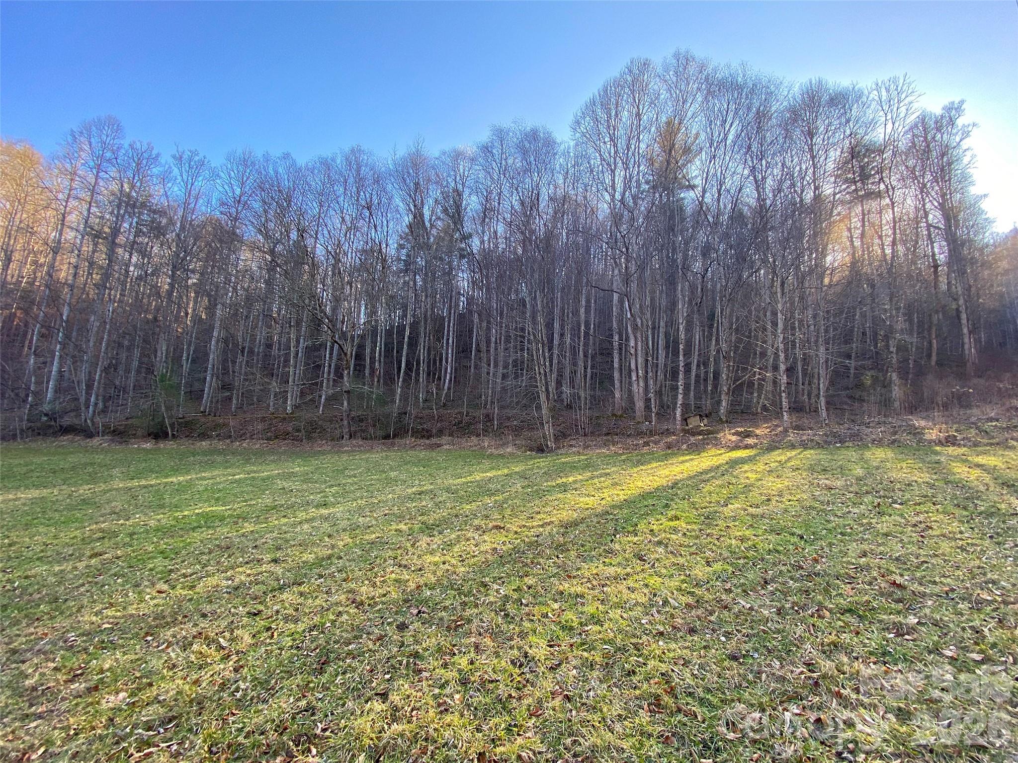 7385 Big Pine Road Property Photo 12