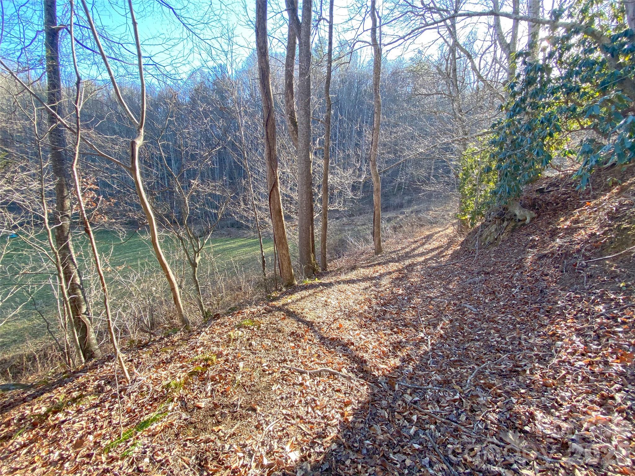 7385 Big Pine Road Property Photo 14