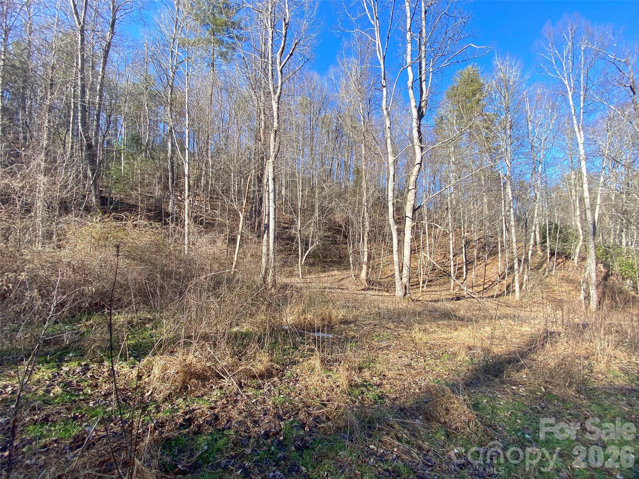 7385 Big Pine Road Property Photo 15