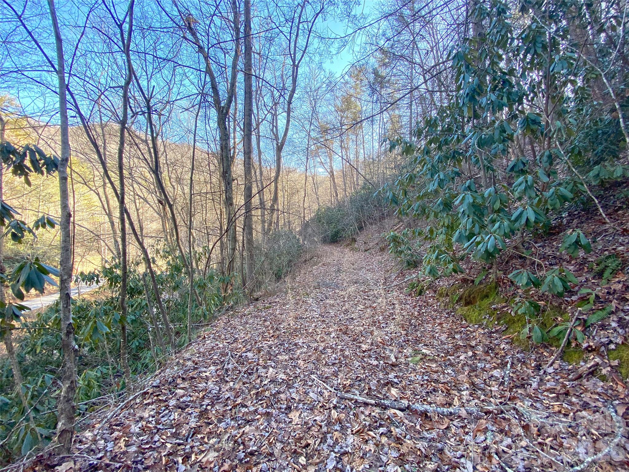 7385 Big Pine Road Property Photo 16