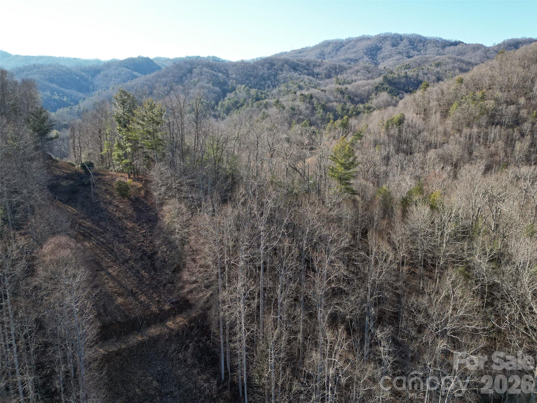 7385 Big Pine Road Property Photo 21