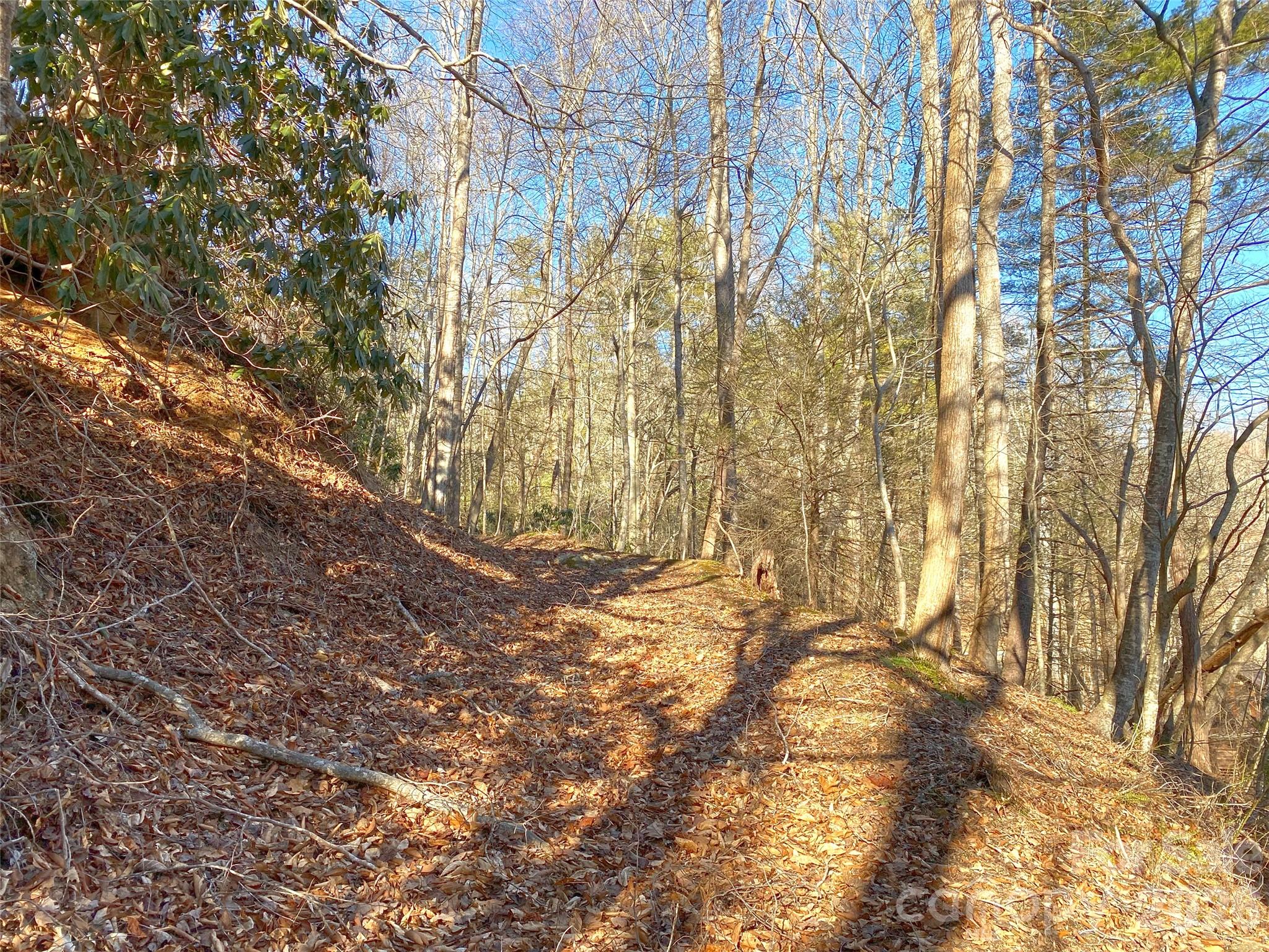 7385 Big Pine Road Property Photo 27