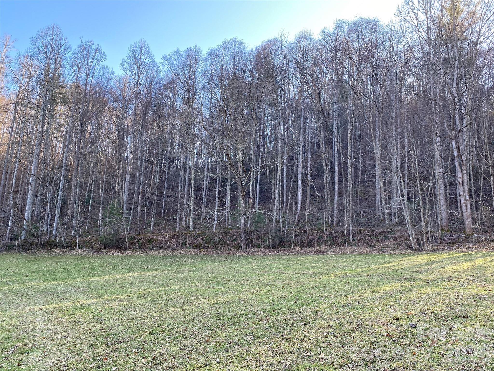 7385 Big Pine Road Property Photo 30
