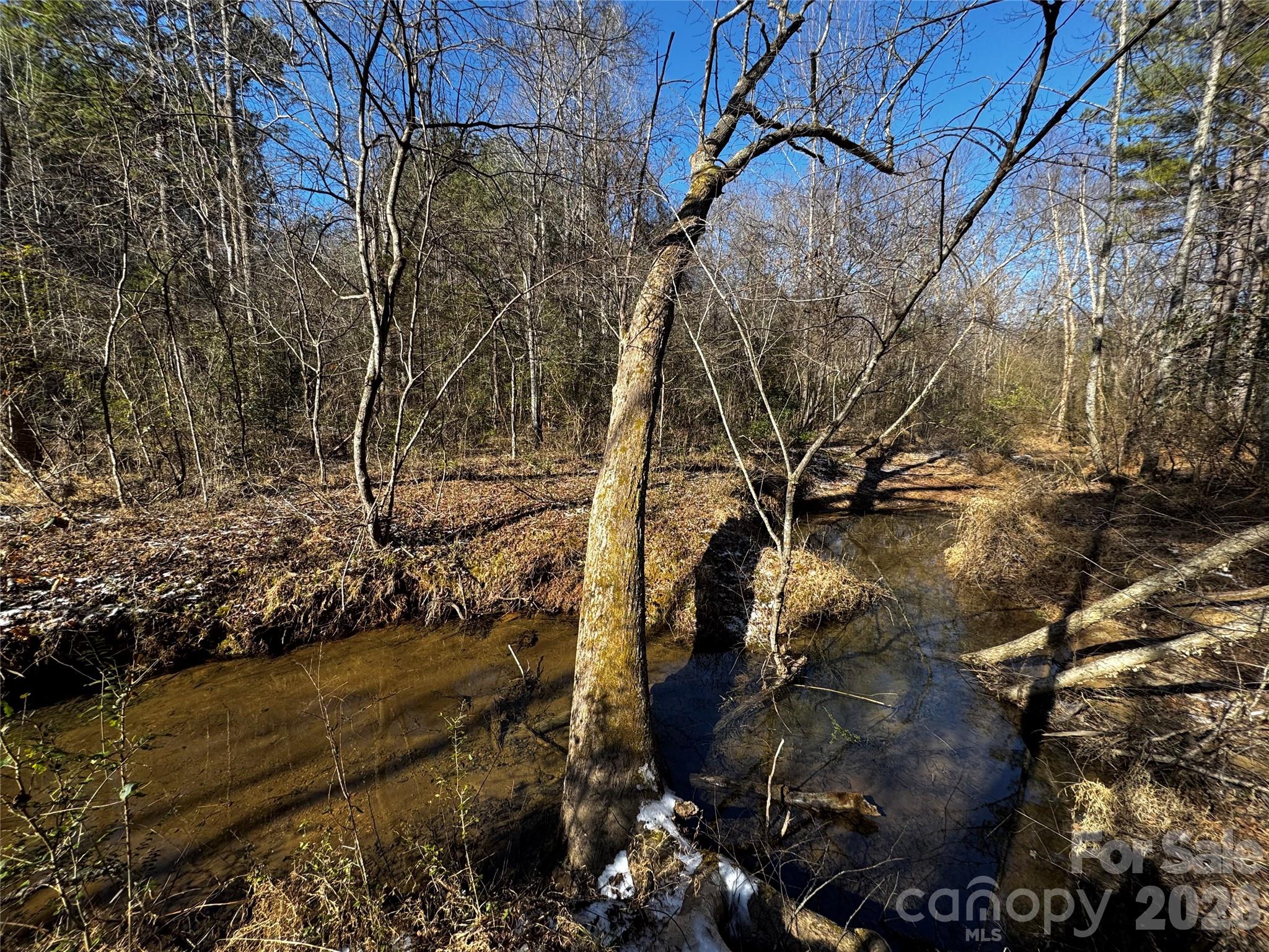 0 Painters Gap Road Property Photo 1