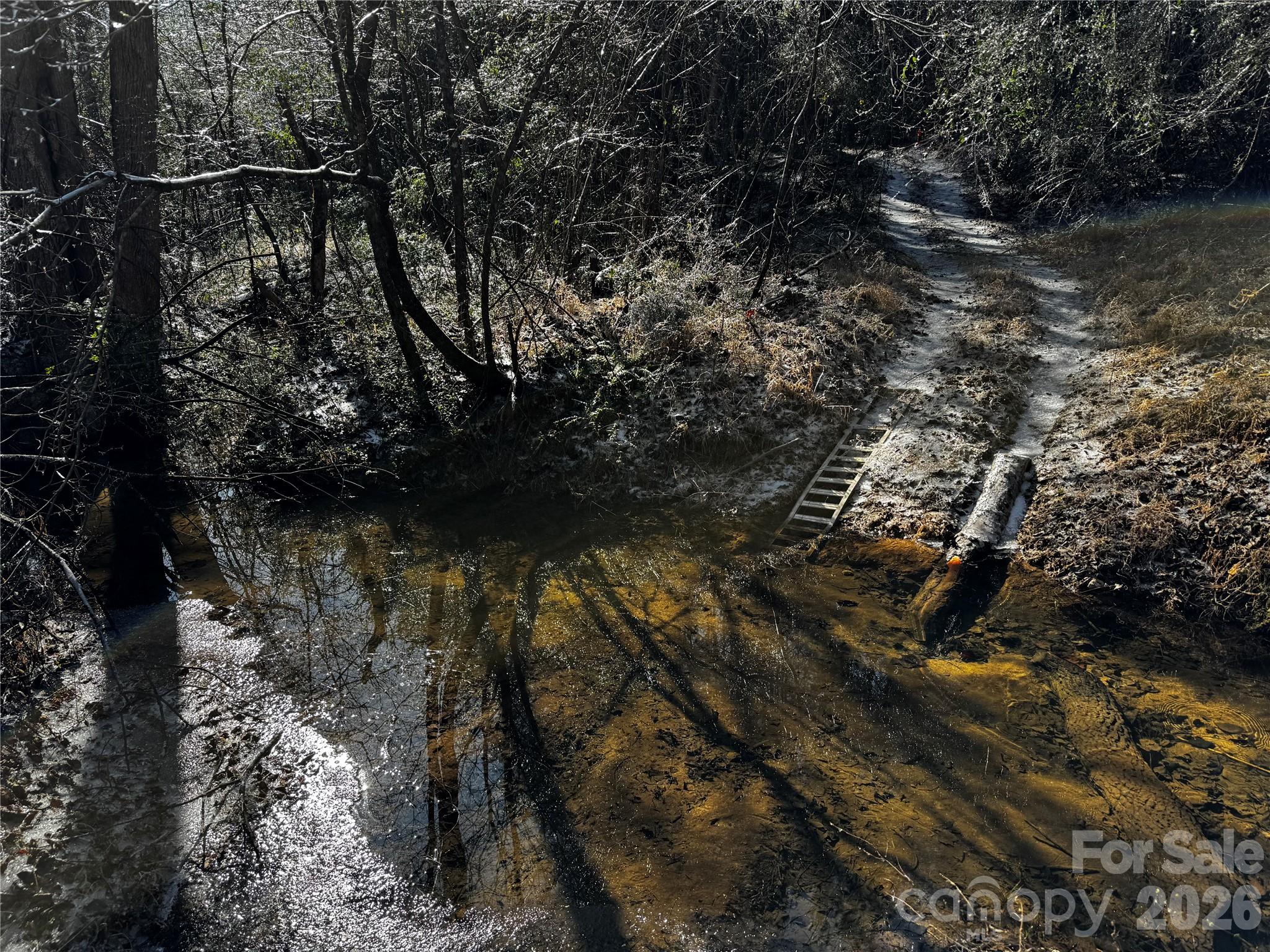 0 Painters Gap Road Property Photo 14