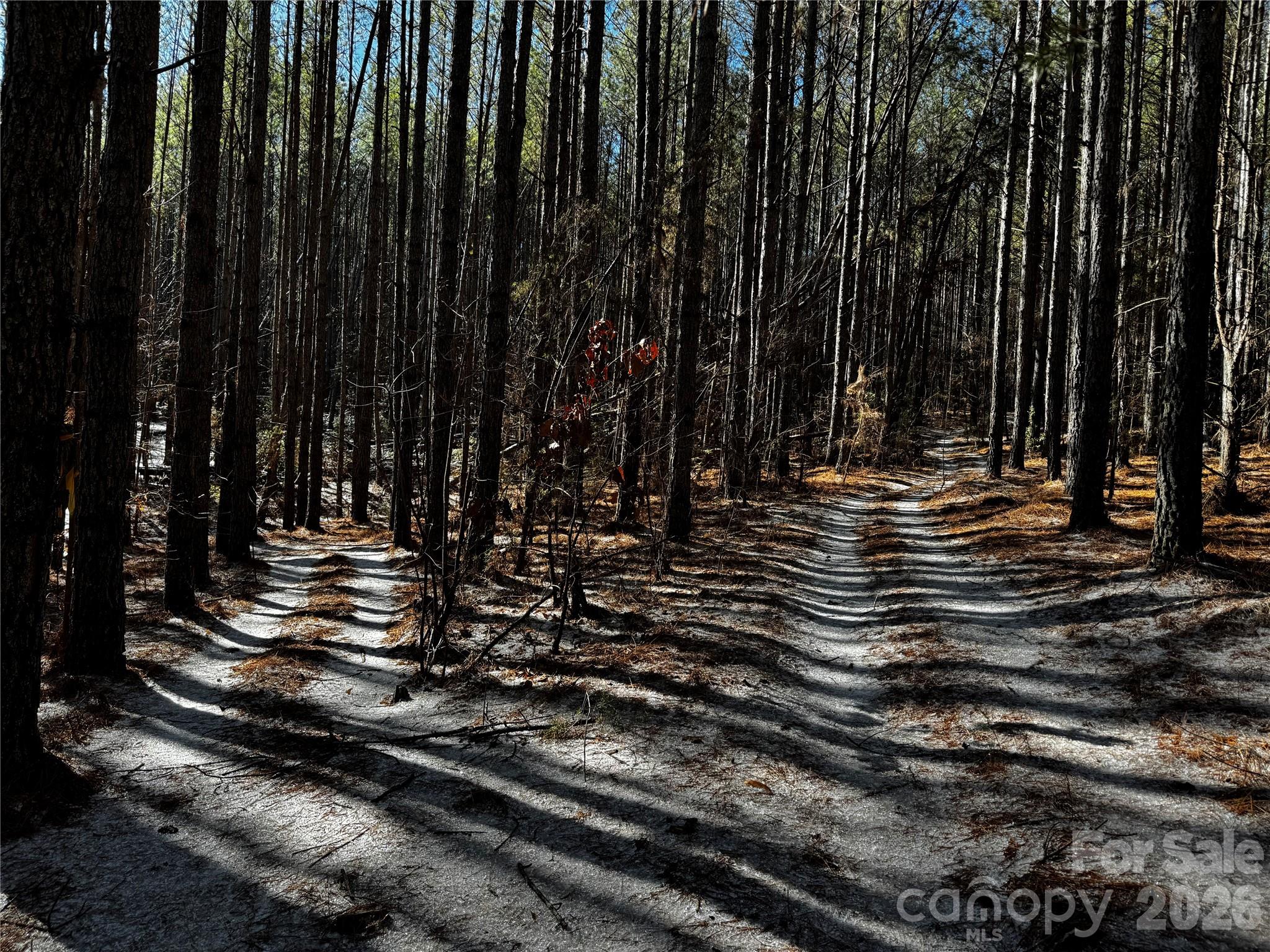 0 Painters Gap Road Property Photo 15