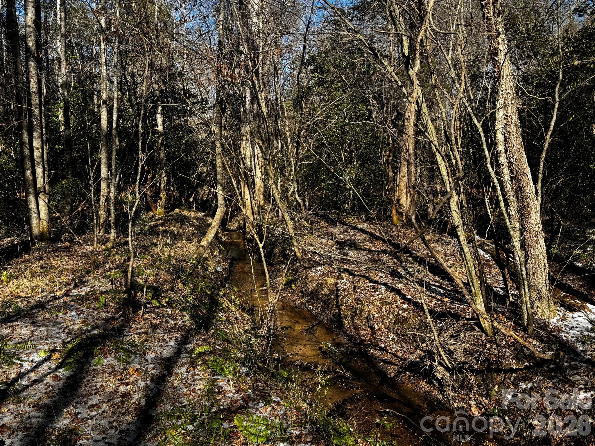 0 Painters Gap Road Property Photo 16