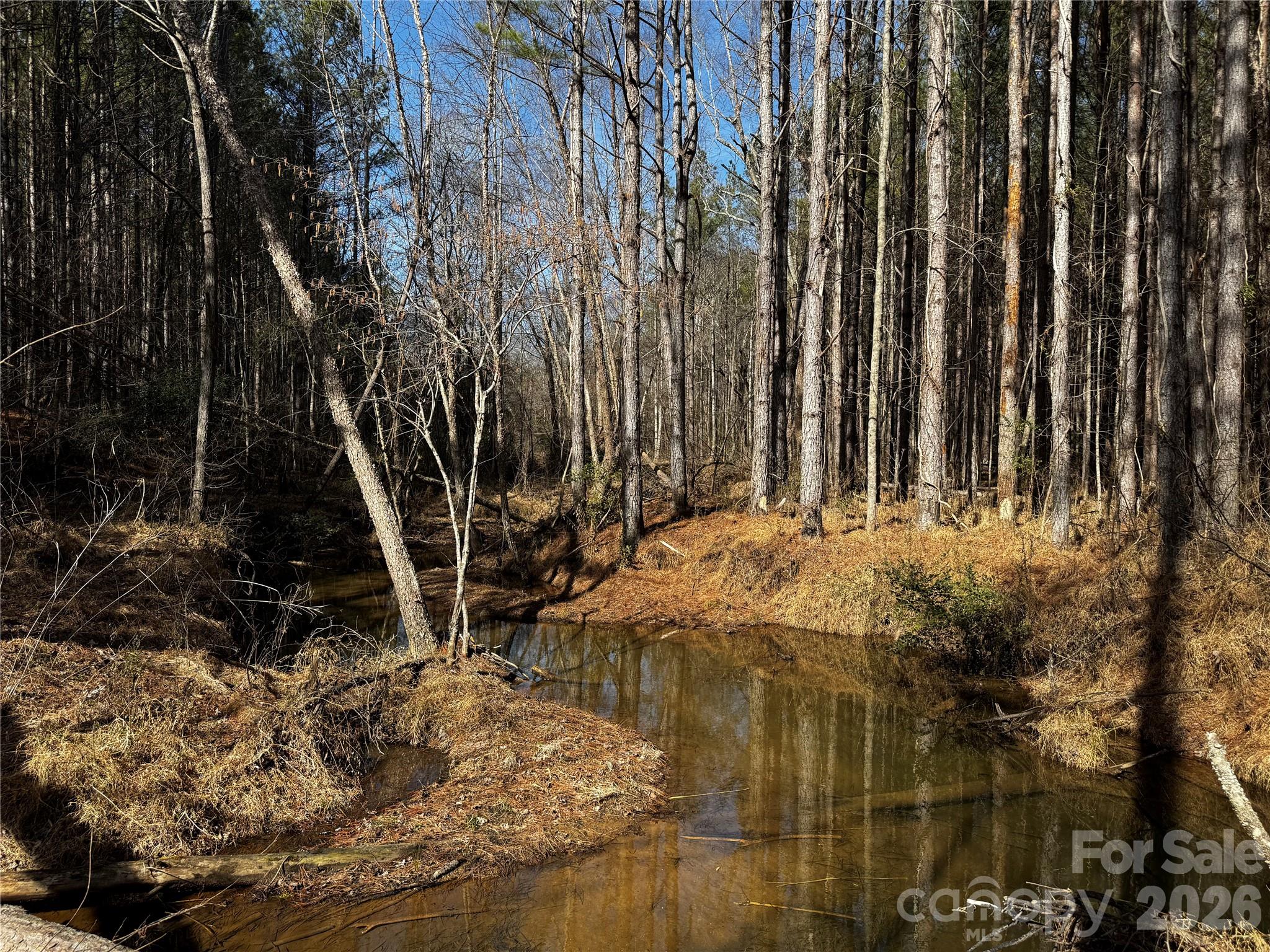 0 Painters Gap Road Property Photo 29