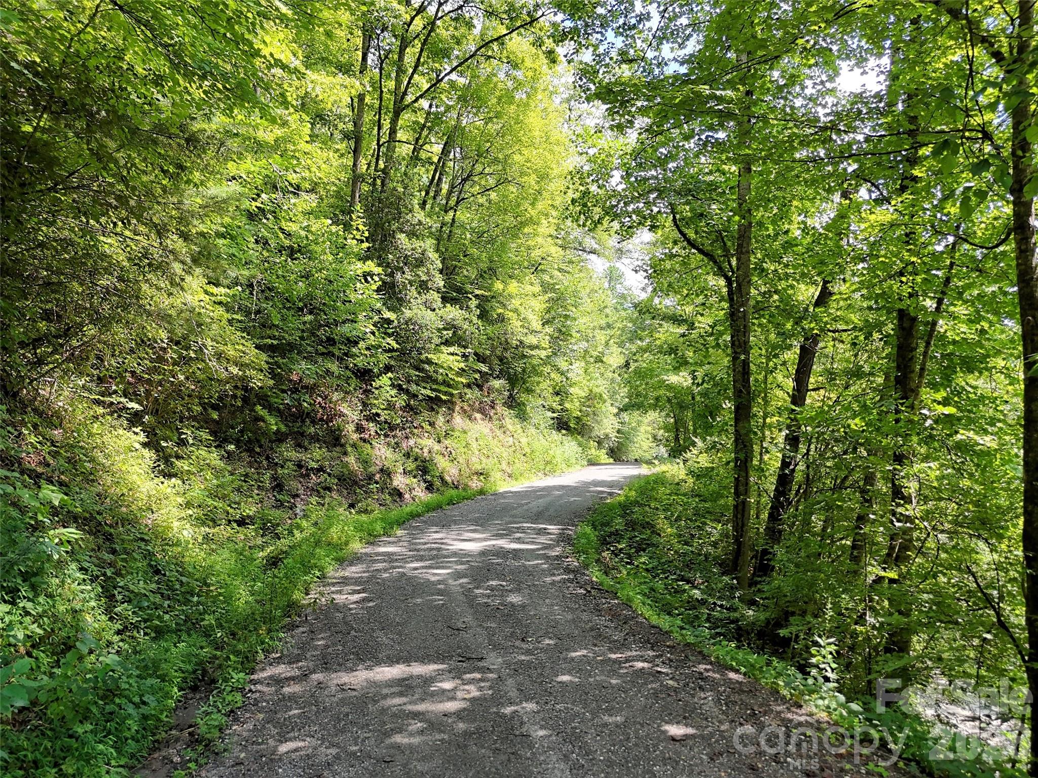 Lot 2 Little Bit Trail Property Photo 13