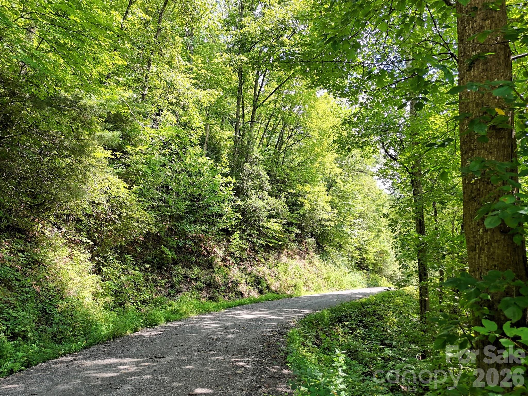 Lot 2 Little Bit Trail Property Photo 14