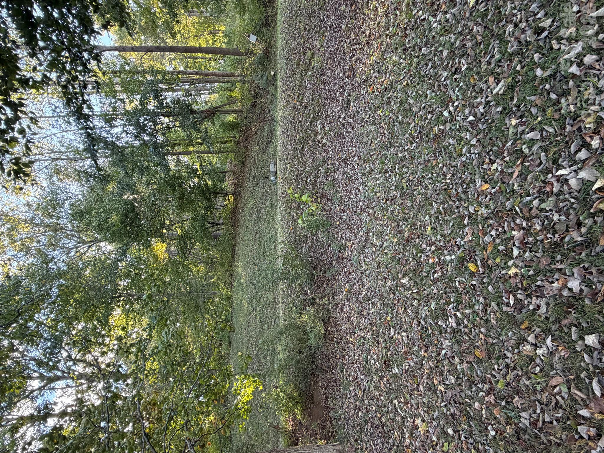 6718 Emerald Isle Drive Property Photo 5