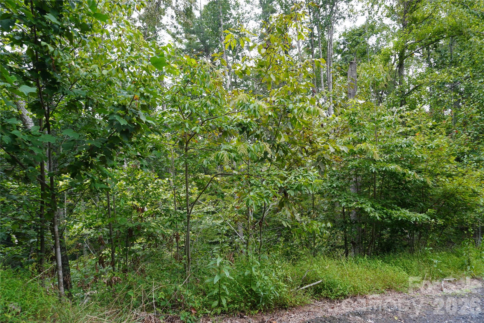 0000 High Peak Drive 16 Property Photo 8