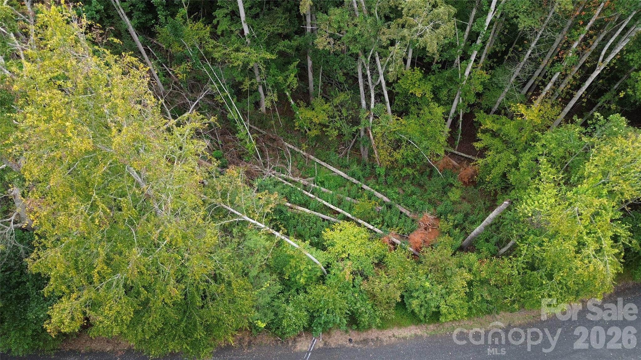 0000 High Peak Drive 16 Property Photo 10