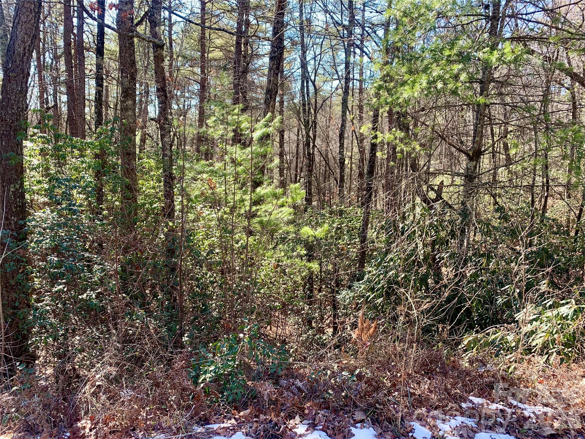 Lot 18 Oak Ridge Drive 18 Property Photo 3