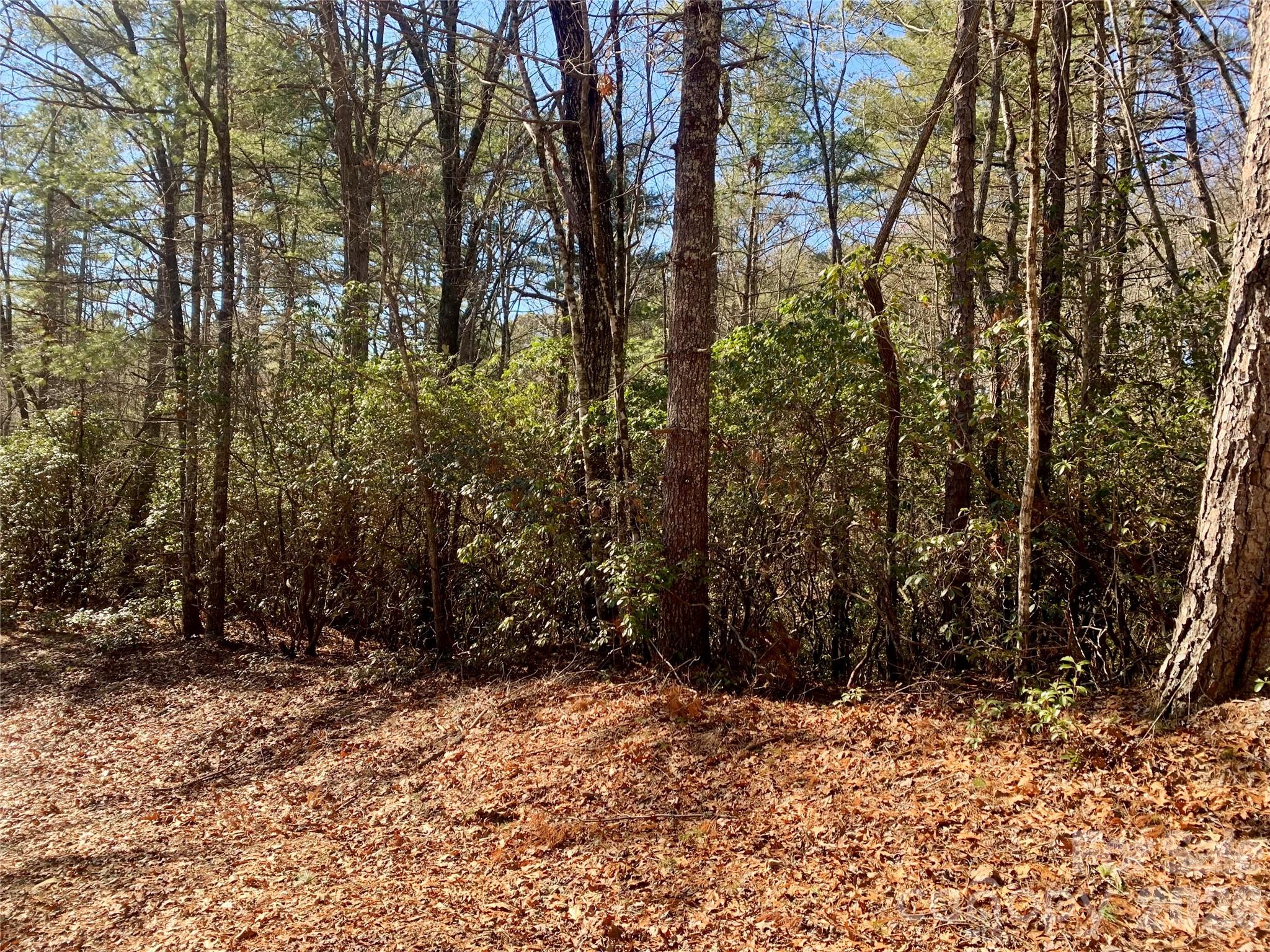 Lot 18 Oak Ridge Drive 18 Property Photo 4